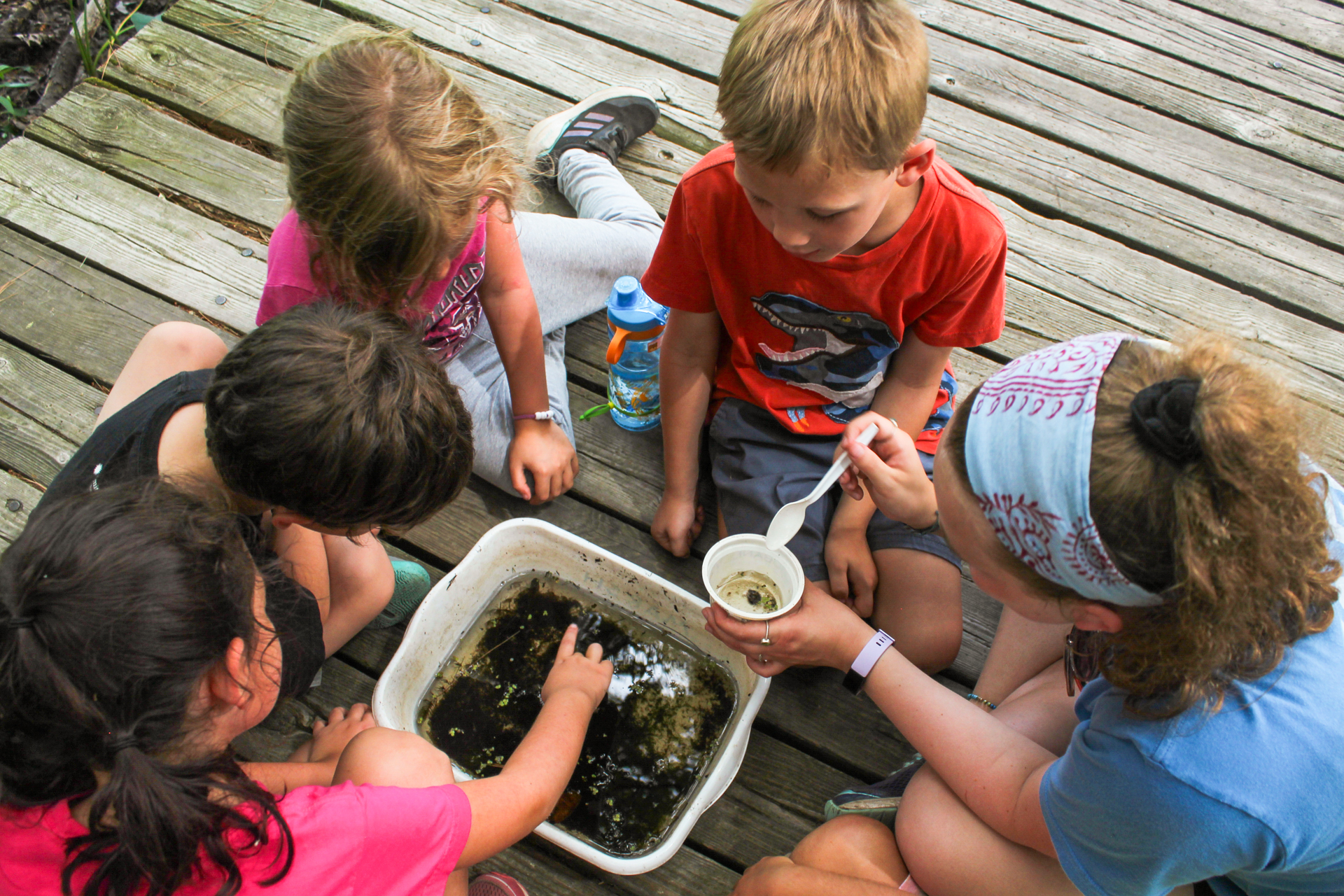 Viewed from above, a group of Broadmoor campers kneels around a white bin filled with water and mud while a counselor shows them an aquatic invertebrate in a sample cup