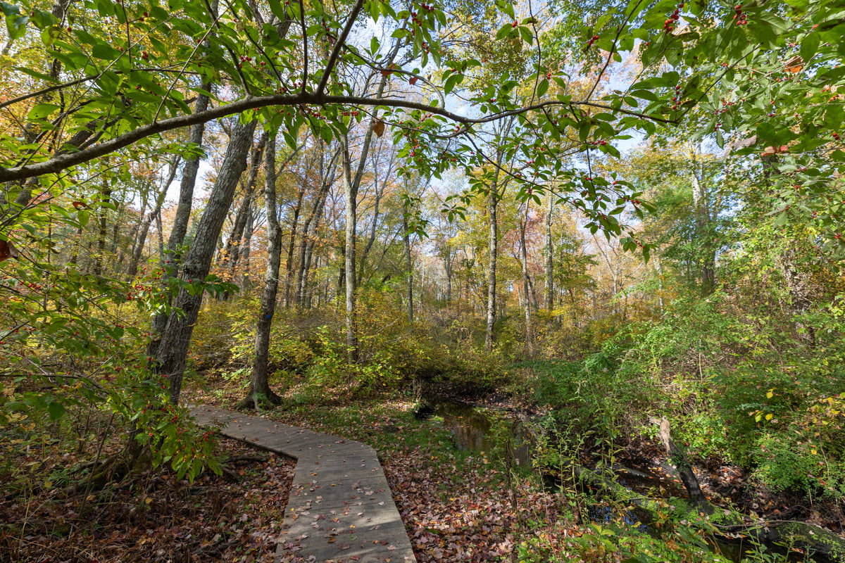 Boardwalk Trail at Oak Knoll