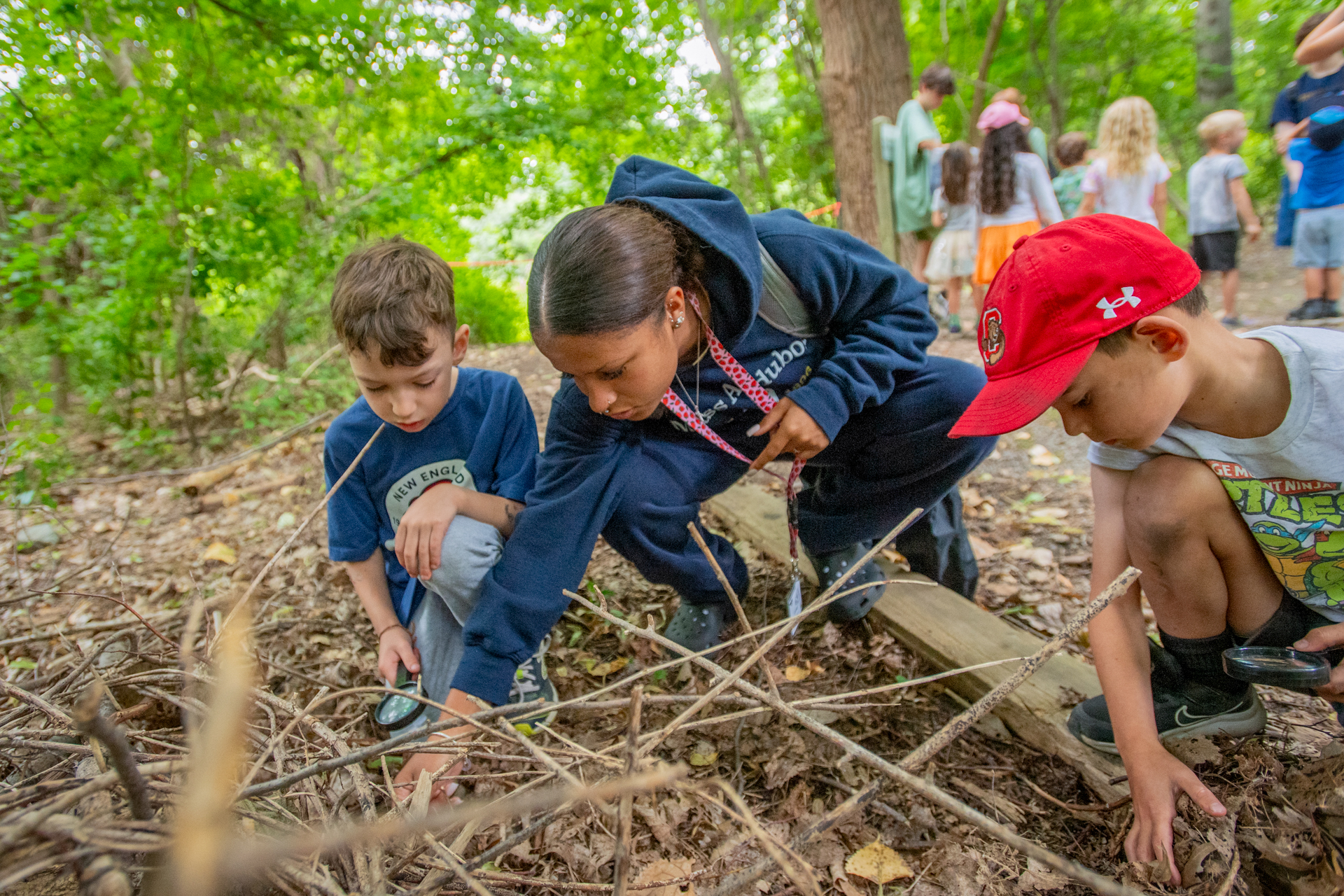 Campers at Boston Nature Center roll logs and look through leaf litter for insects and other invertebrates with their counselor
