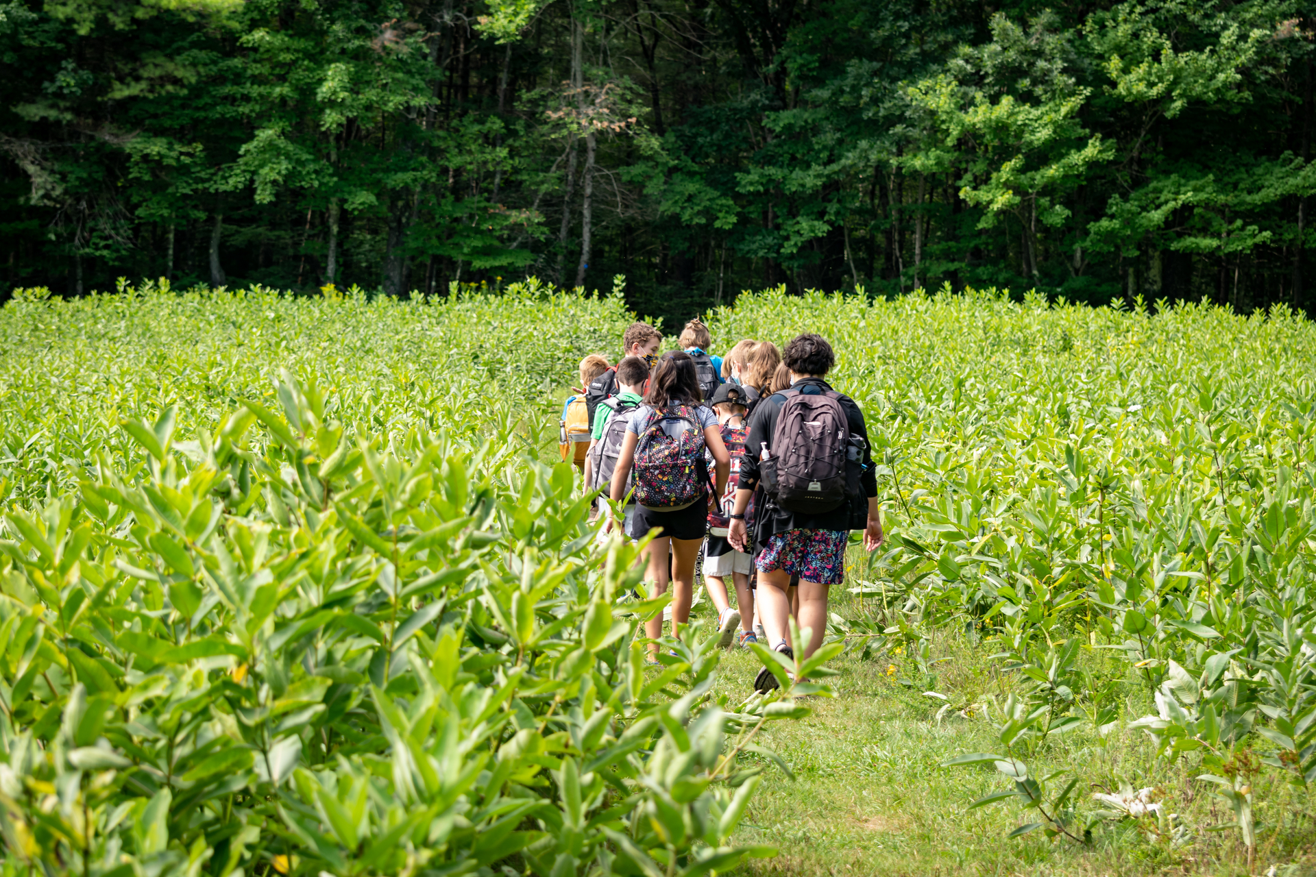 campers walking on trail through meadow