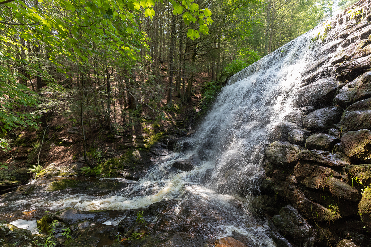 White waterfall tumbling down a wall of rocks. A green forest is on the other side of the bank.