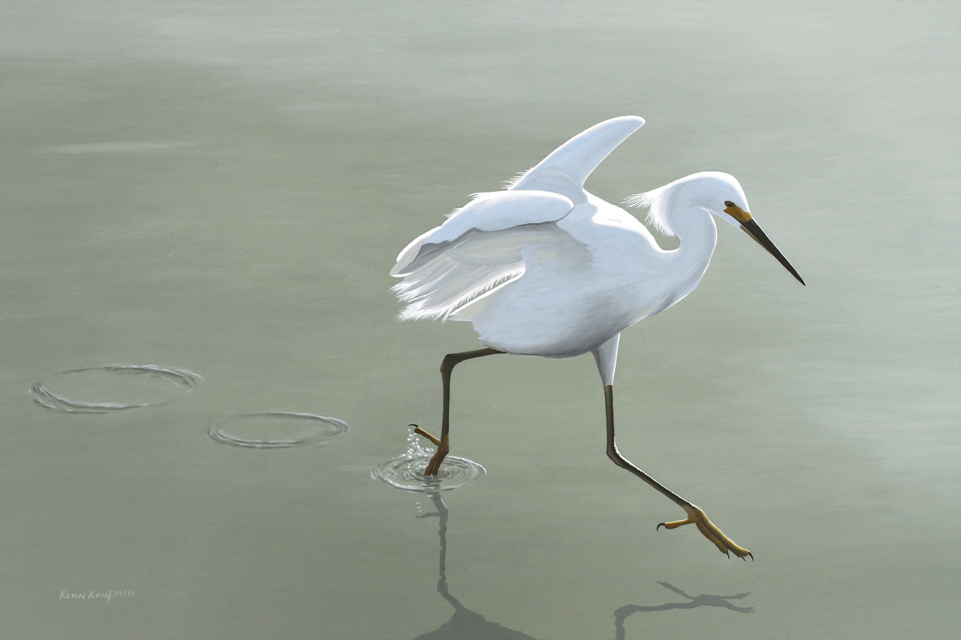 Painting of a heron skipping on the surface of water