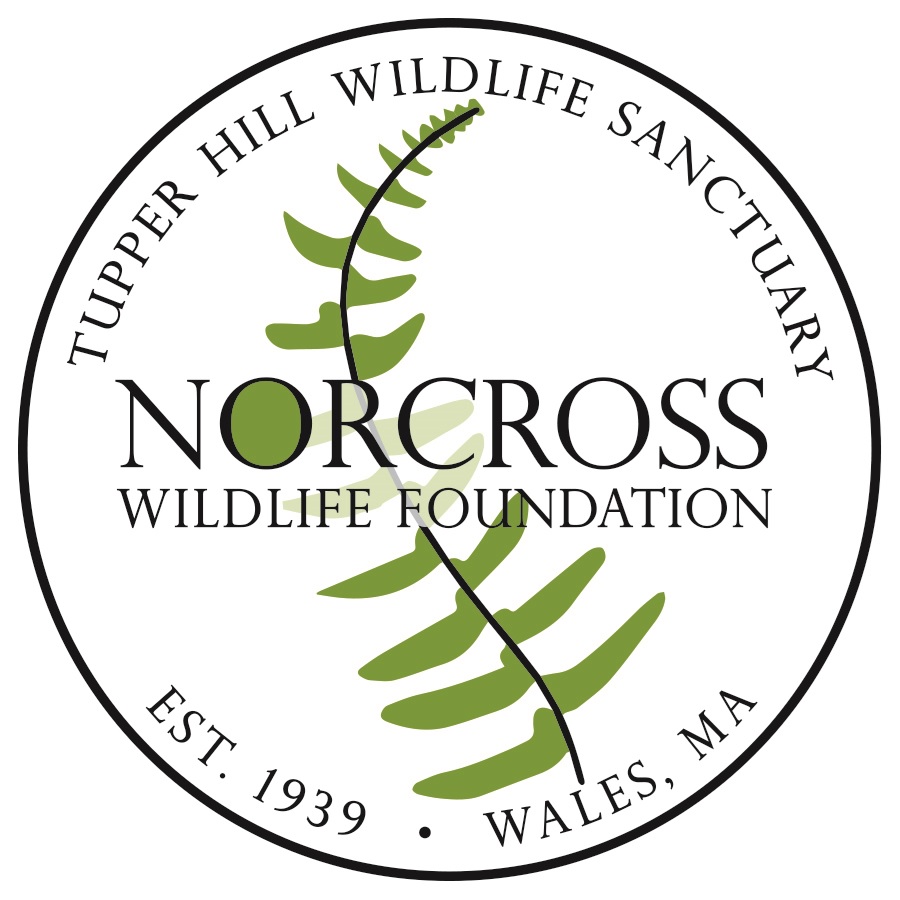 Norcross Round Logo