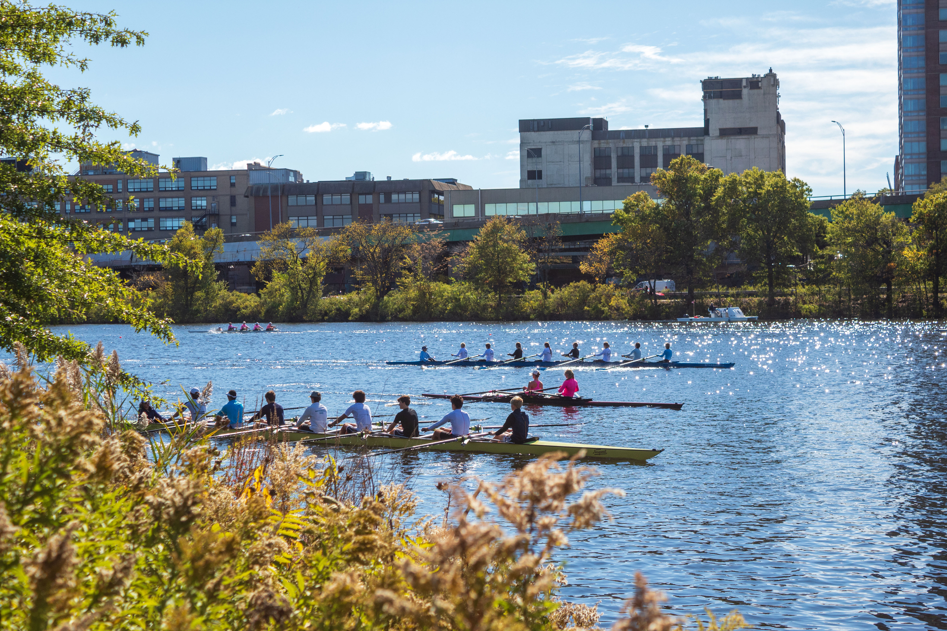 Rowers on the Charles river on a clear sunny day