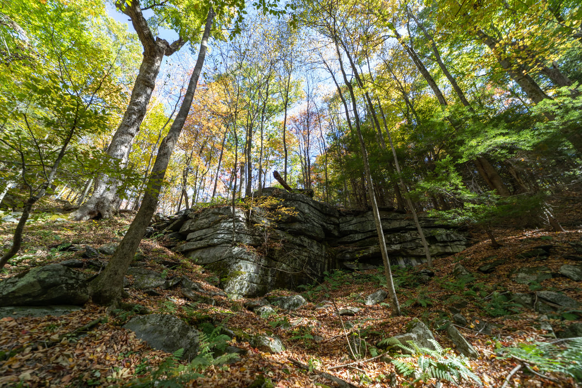 Large rocks on a hill, mixed with green trees.