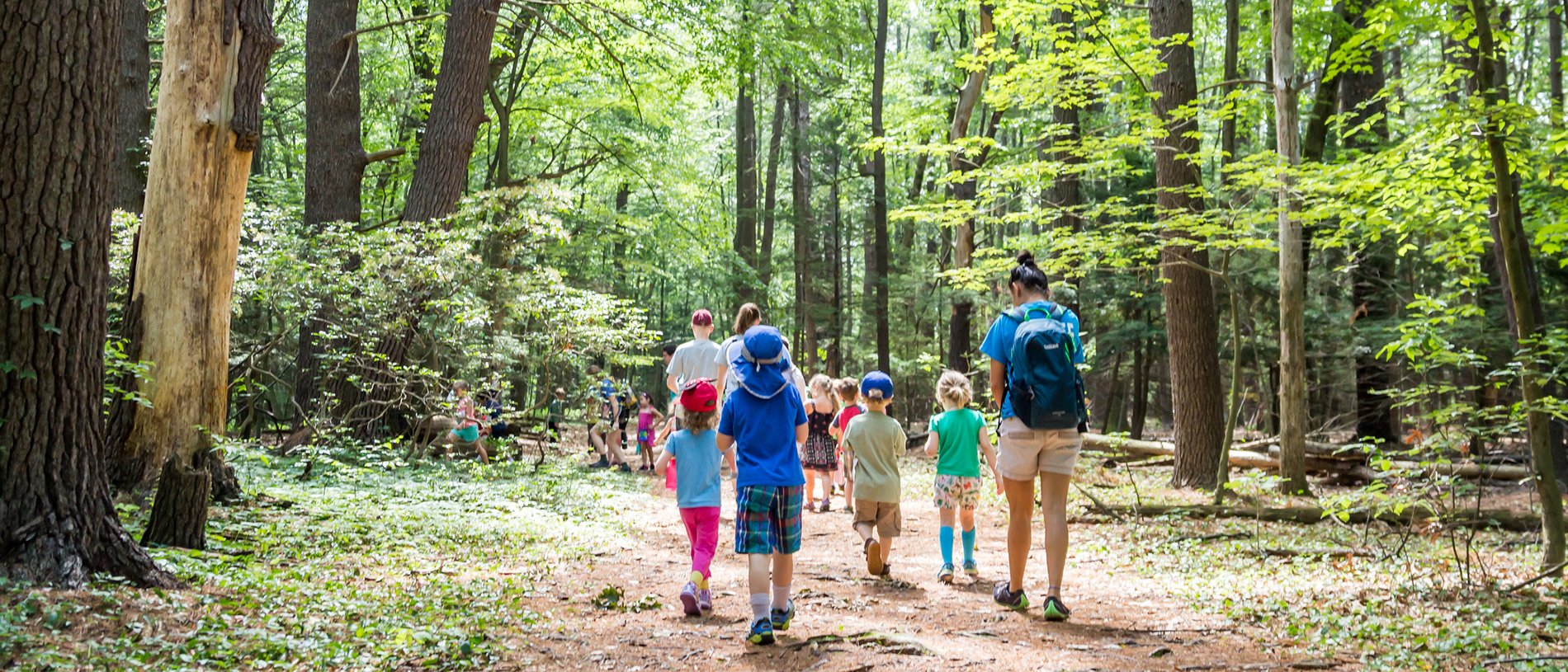 Campers and counselors walking on a trail in the forest