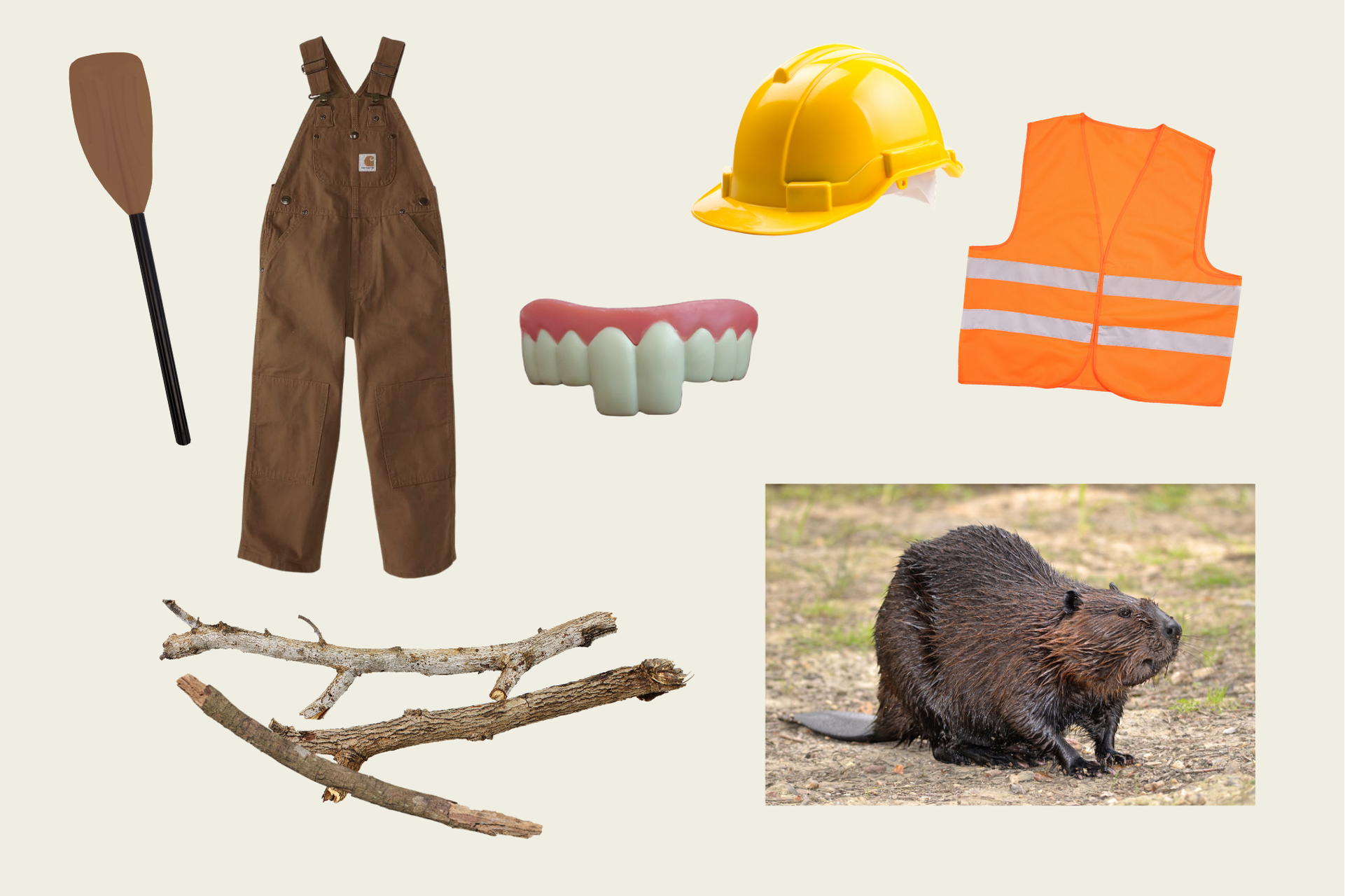 Beaver Halloween Costume