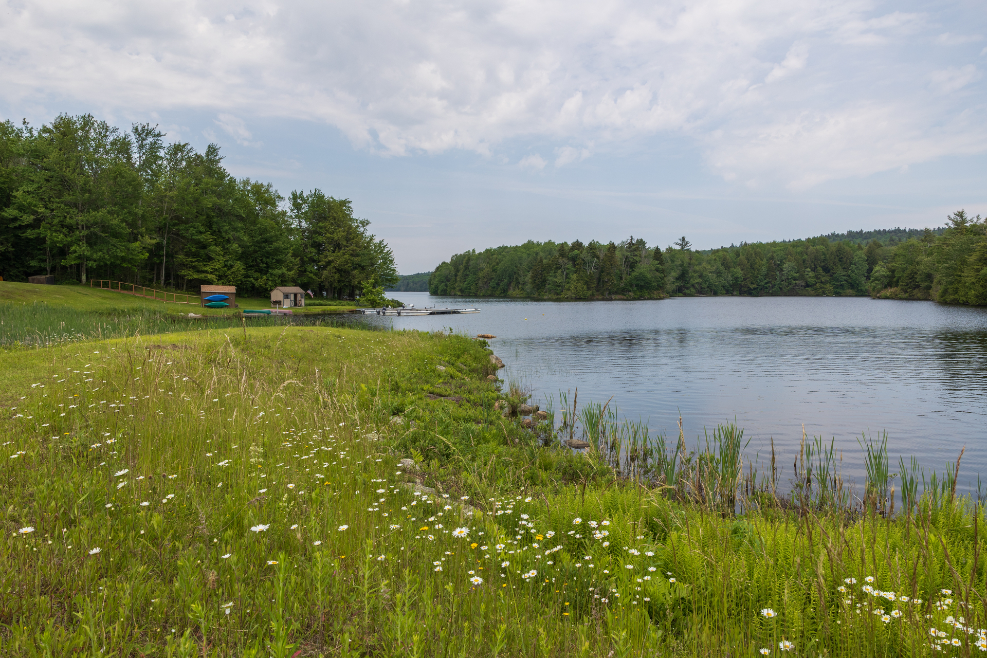 Meadow and pond with a small building with kayaks in the distance