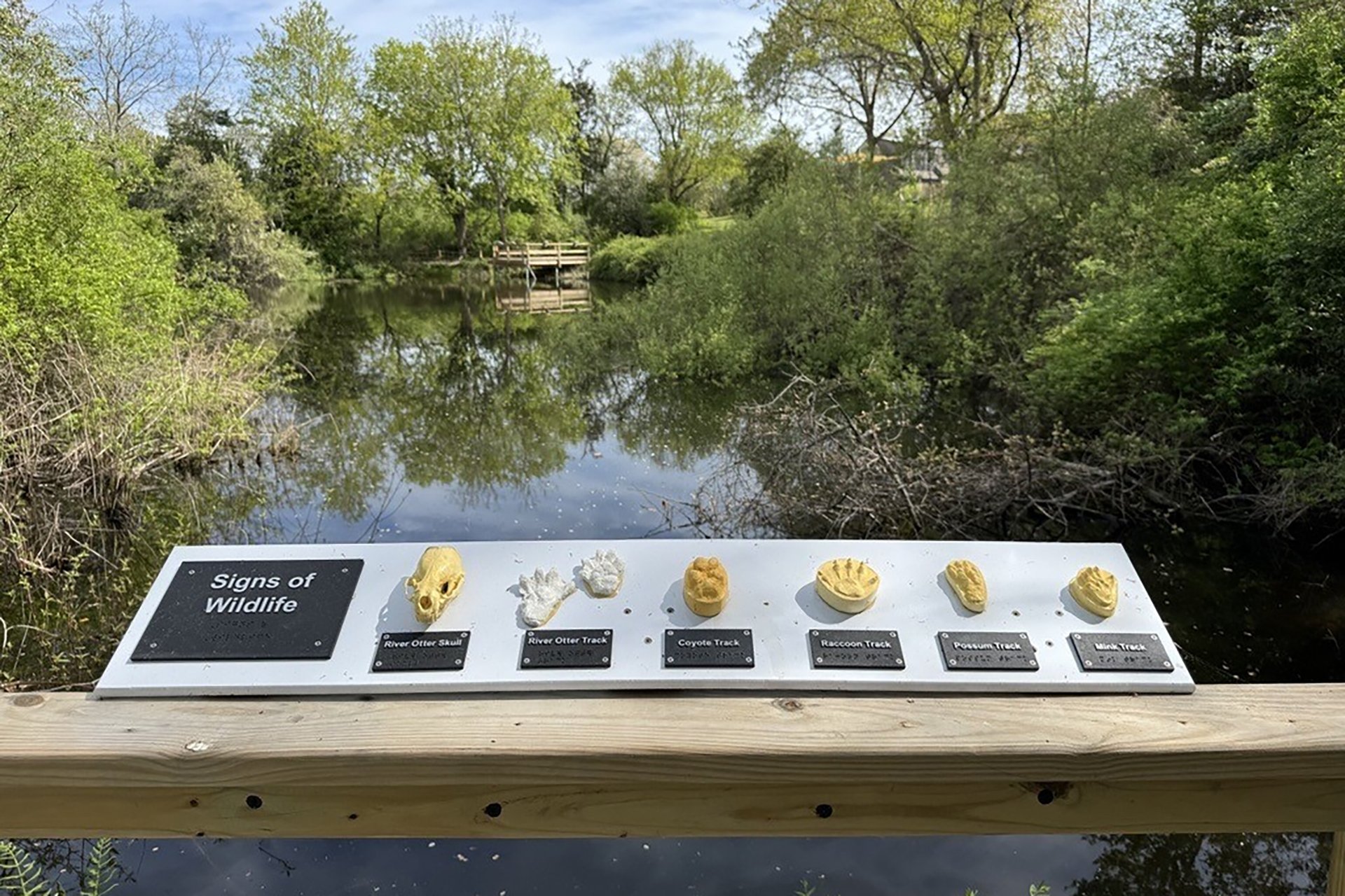 tactile display featuring plaster casts of footprints on the boardwalk along the All Persons Trail