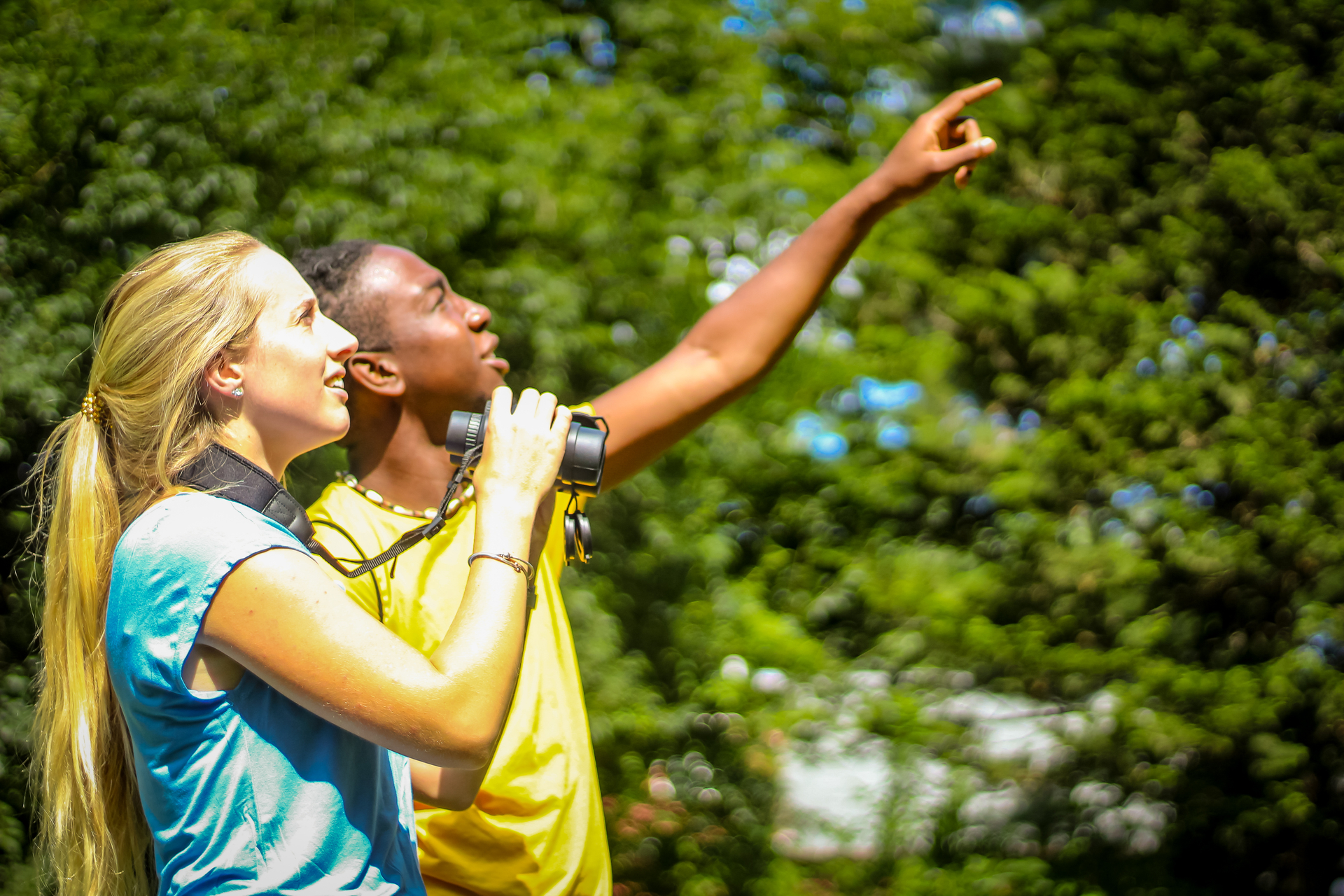 Two young adults looking up to the sky