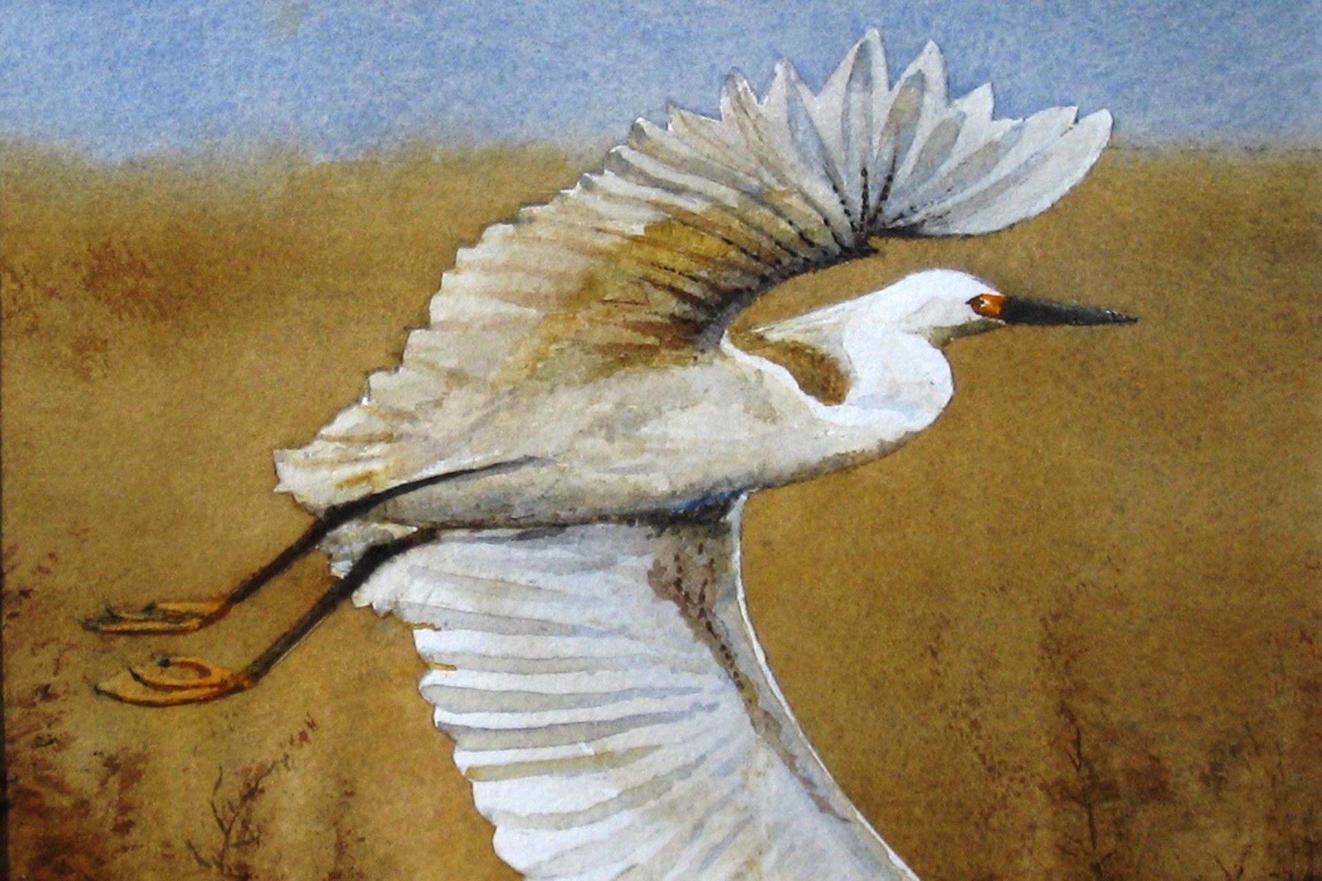 Cropped portion of a watercolor painting depicting an egret in flight