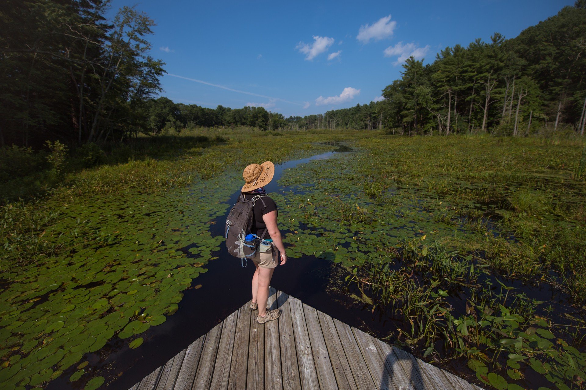 Person in hat overlooking wetland