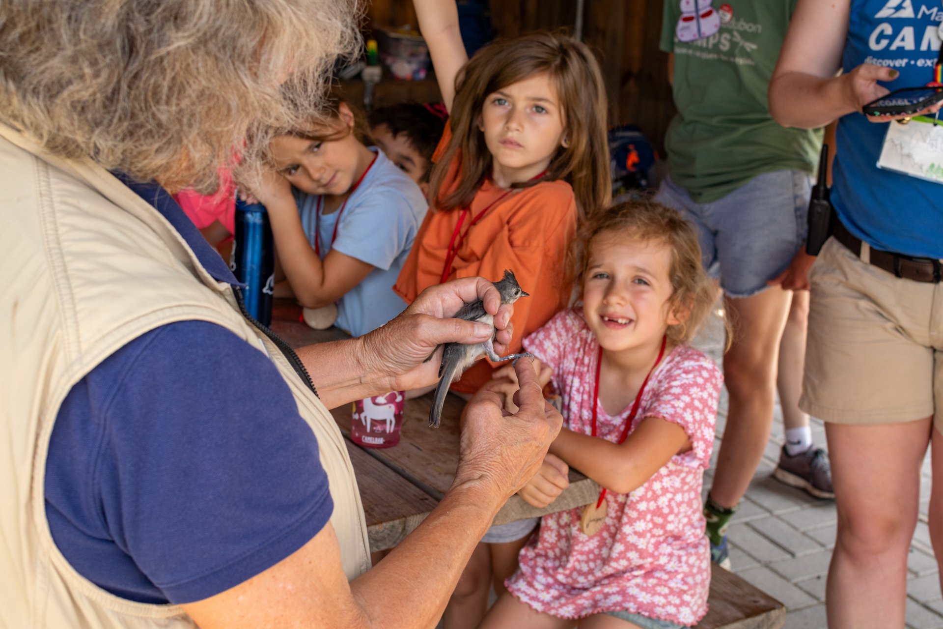 Broadmoor campers and counselors watch as educator Elissa Landre shows them a Tufted Titmouse she is holding that is ready to be banded. One camper is smiling with missing front teeth and another has her hand raised to ask a question.