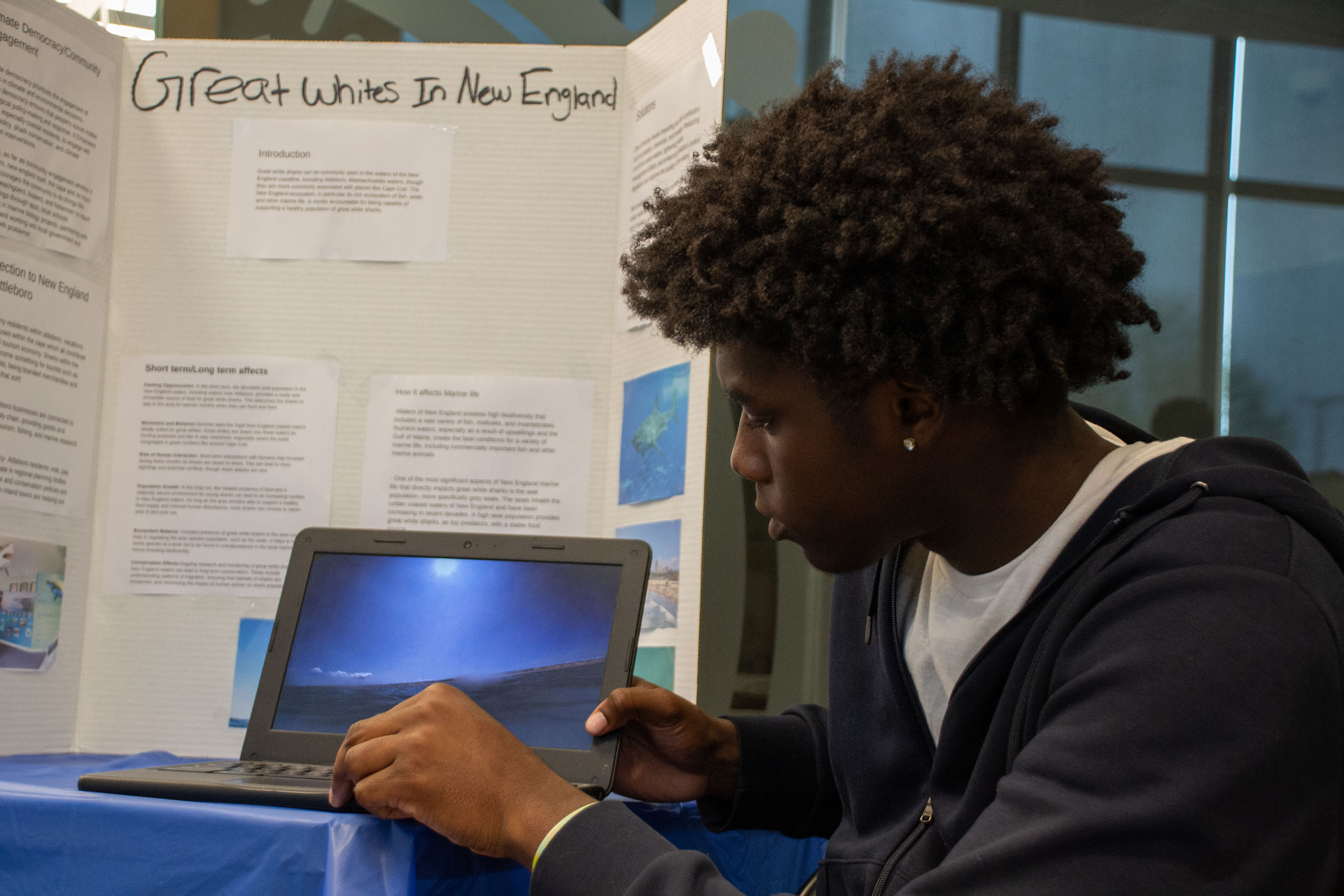 student presses play on a laptop beside a presentation board on great white sharks