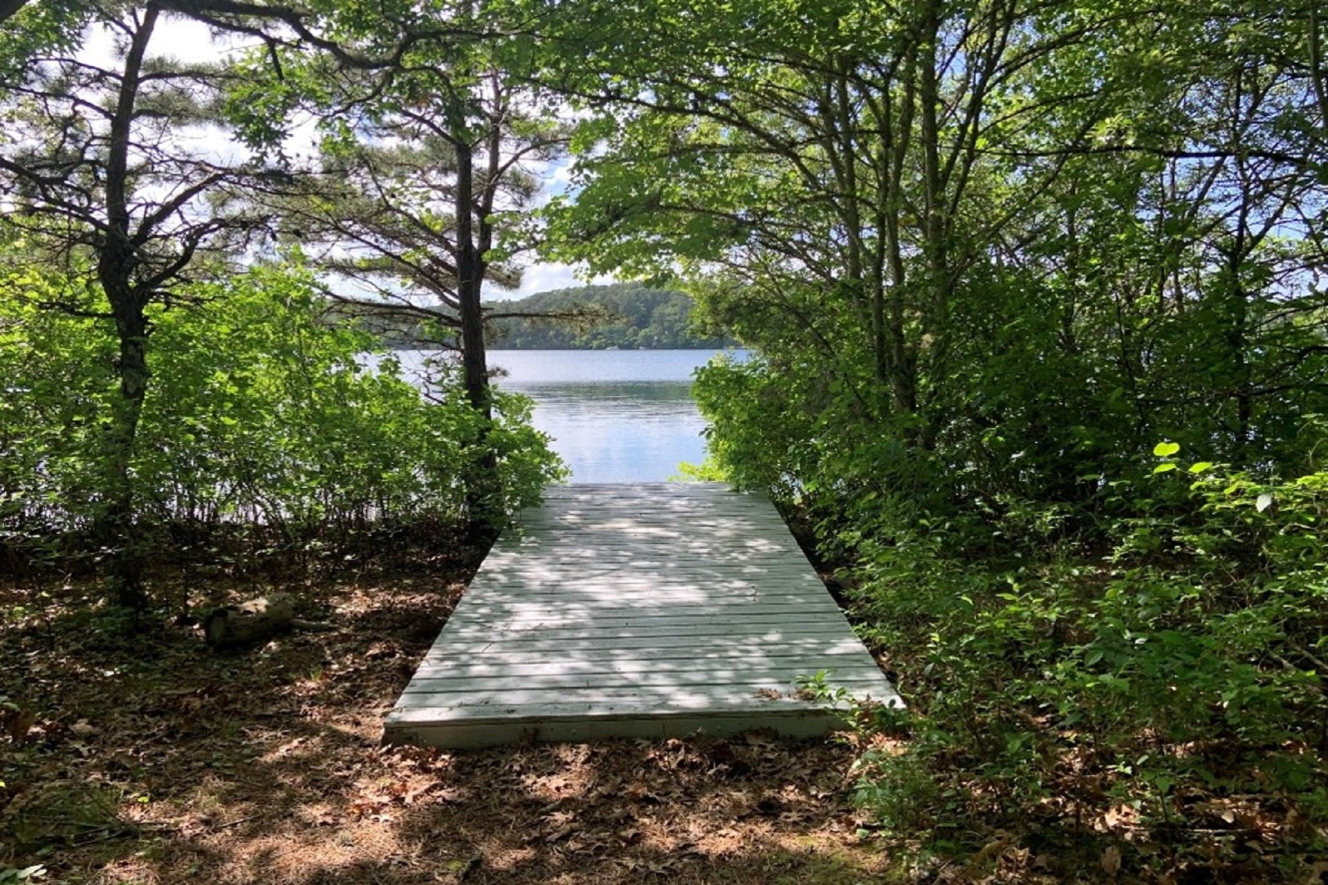View through the trees toward the water at the site of the former Cape Cod Sea Camps