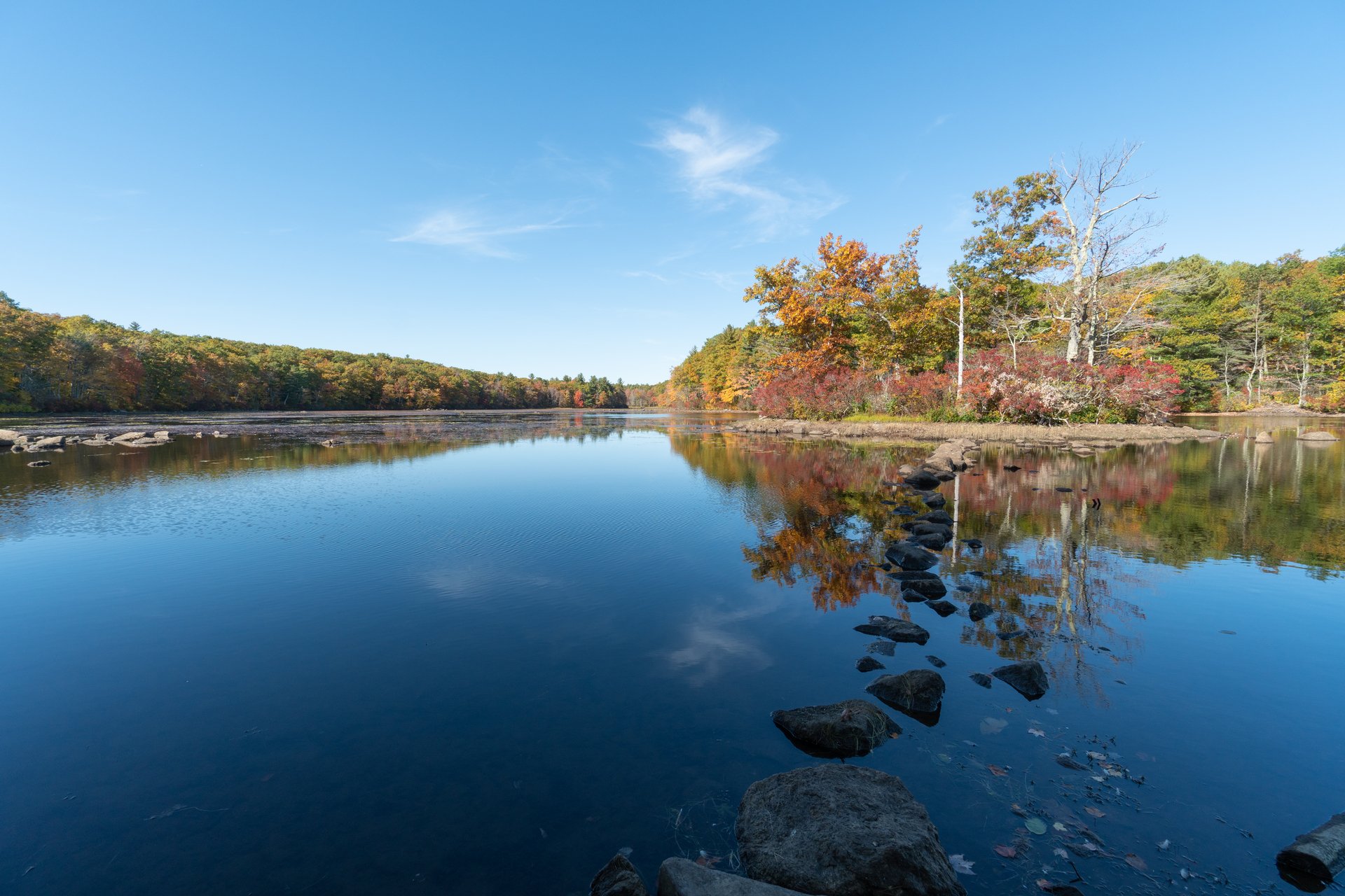 Calm pond reflects the blue sky and surrounding forest.