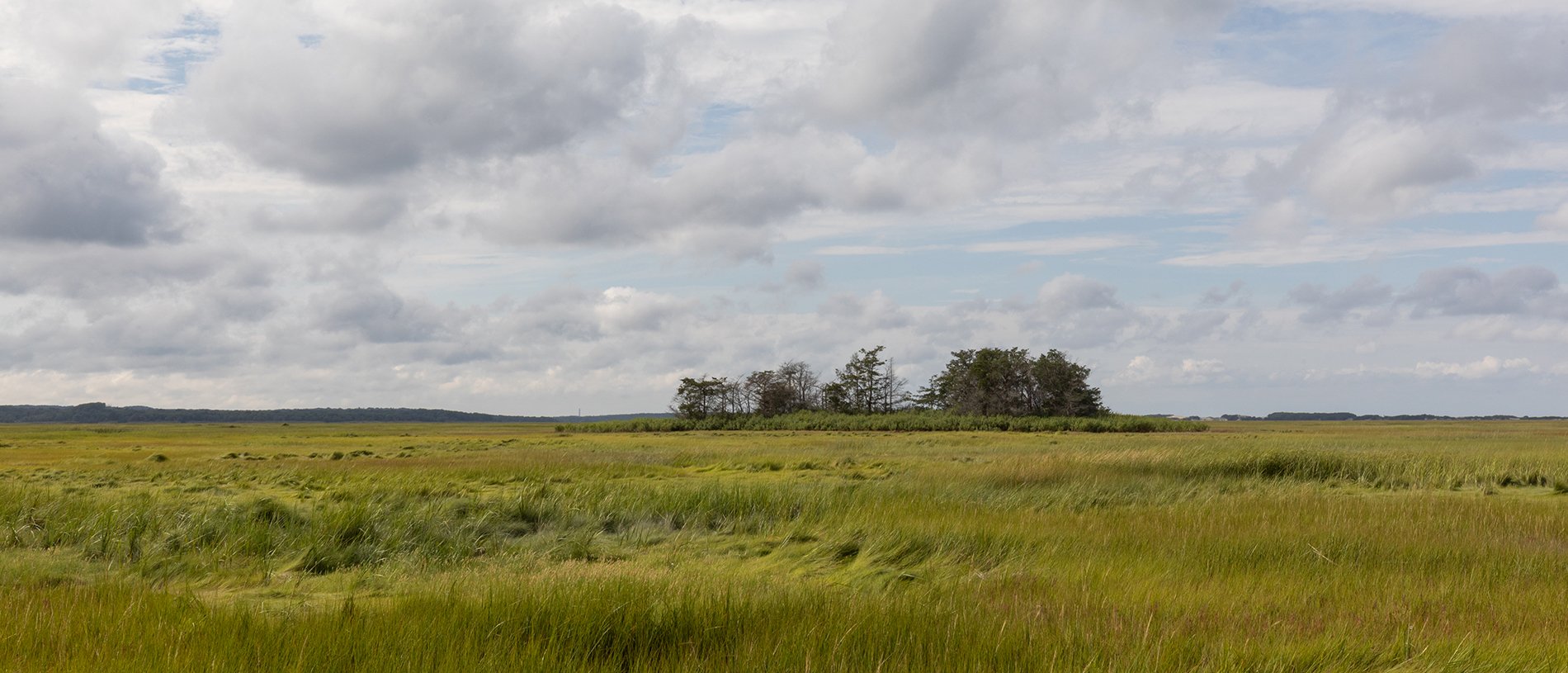 Salt marsh at Barnstable Great Marsh