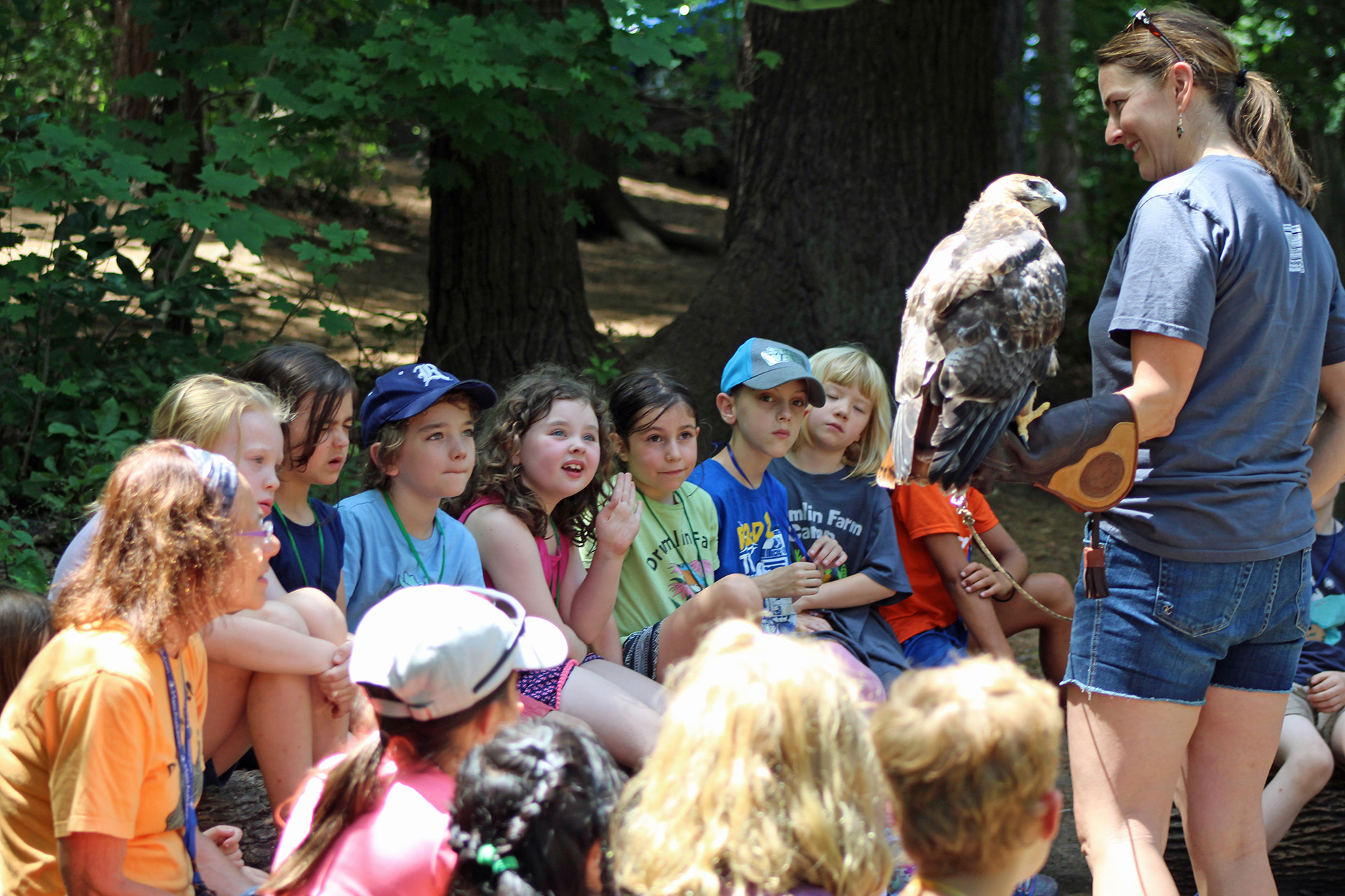 Educator showing a group of seated campers a hawk, perched on their arm