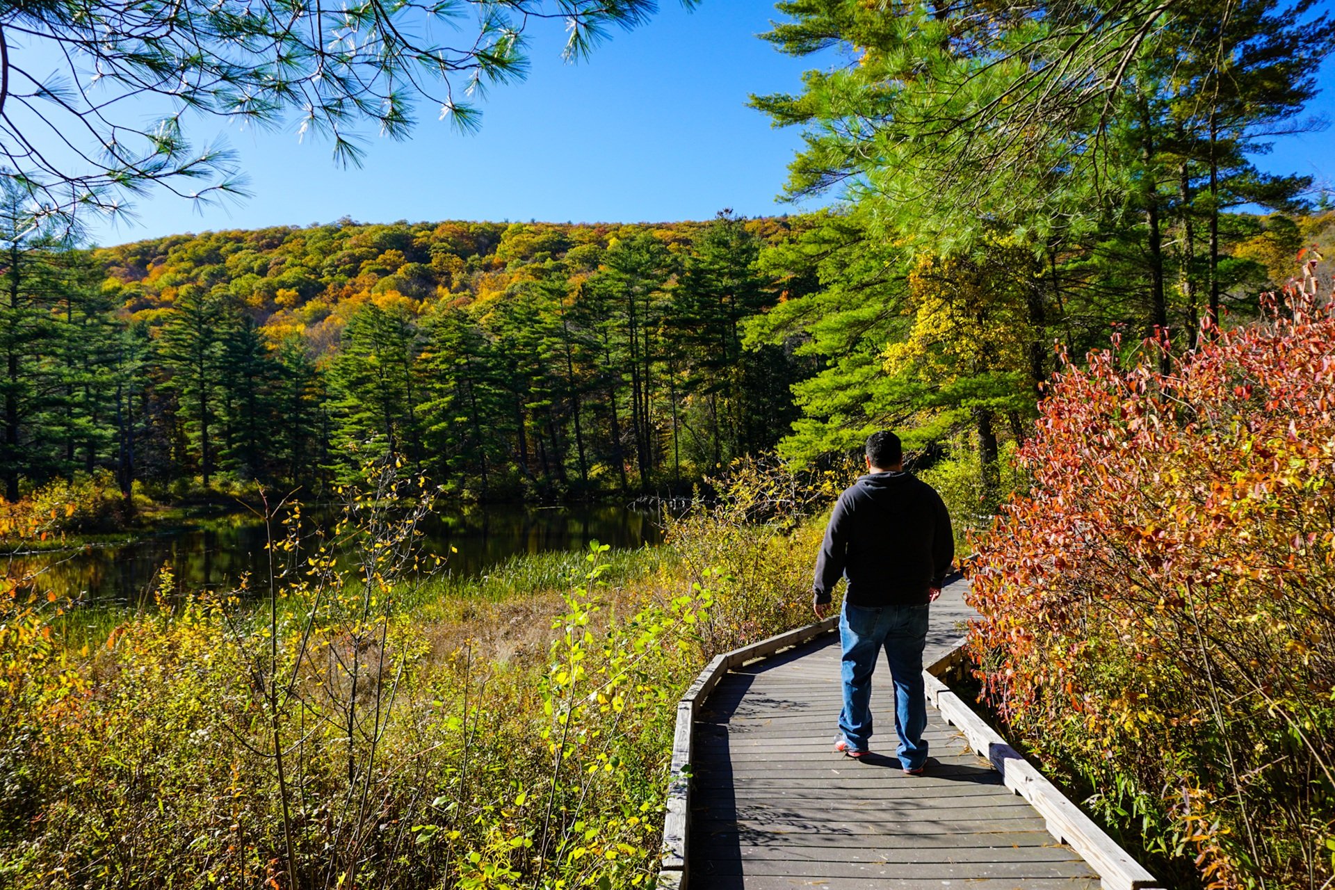 Person walking along a wide, flat boardwalk in early fall
