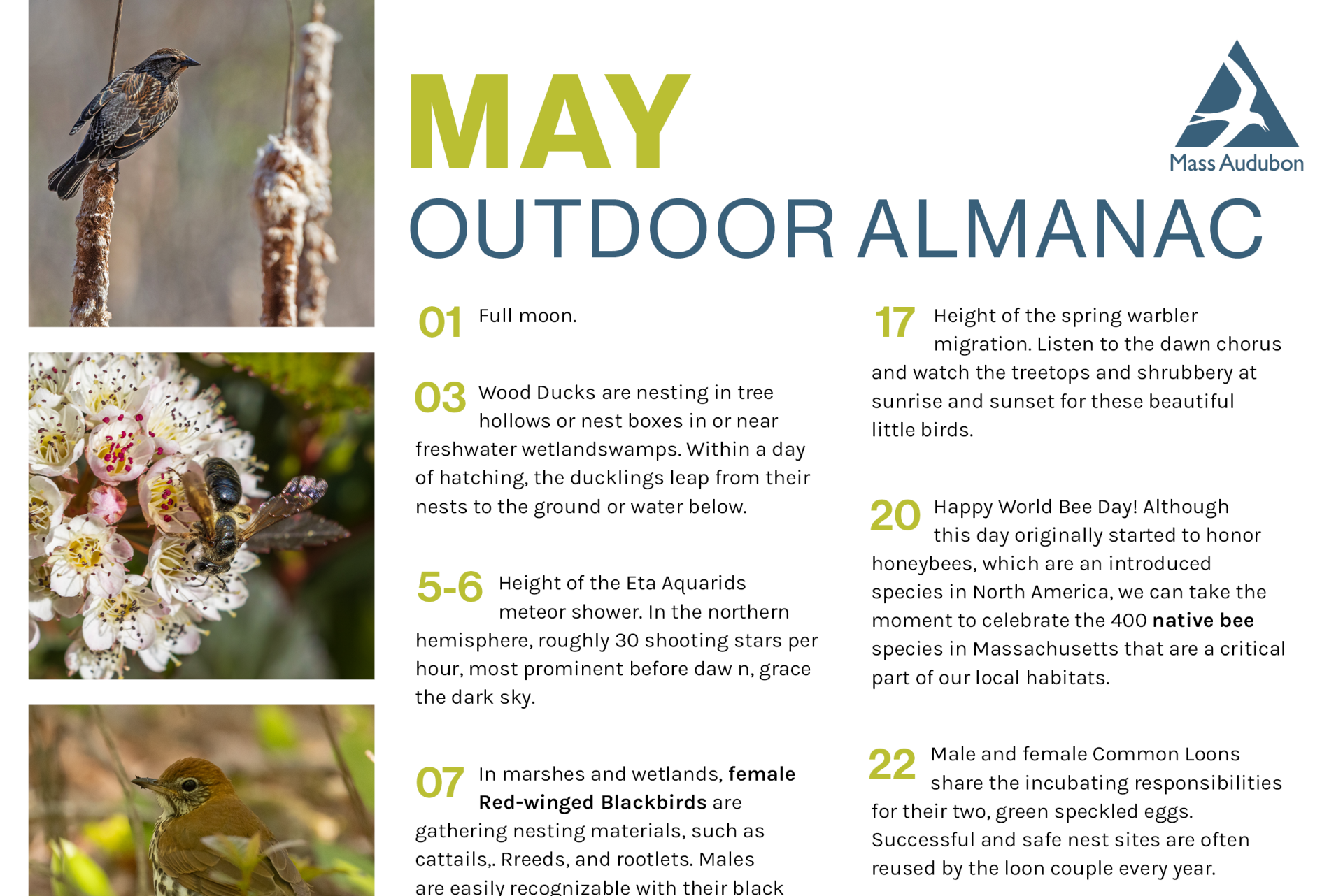 outdoor almanac preview