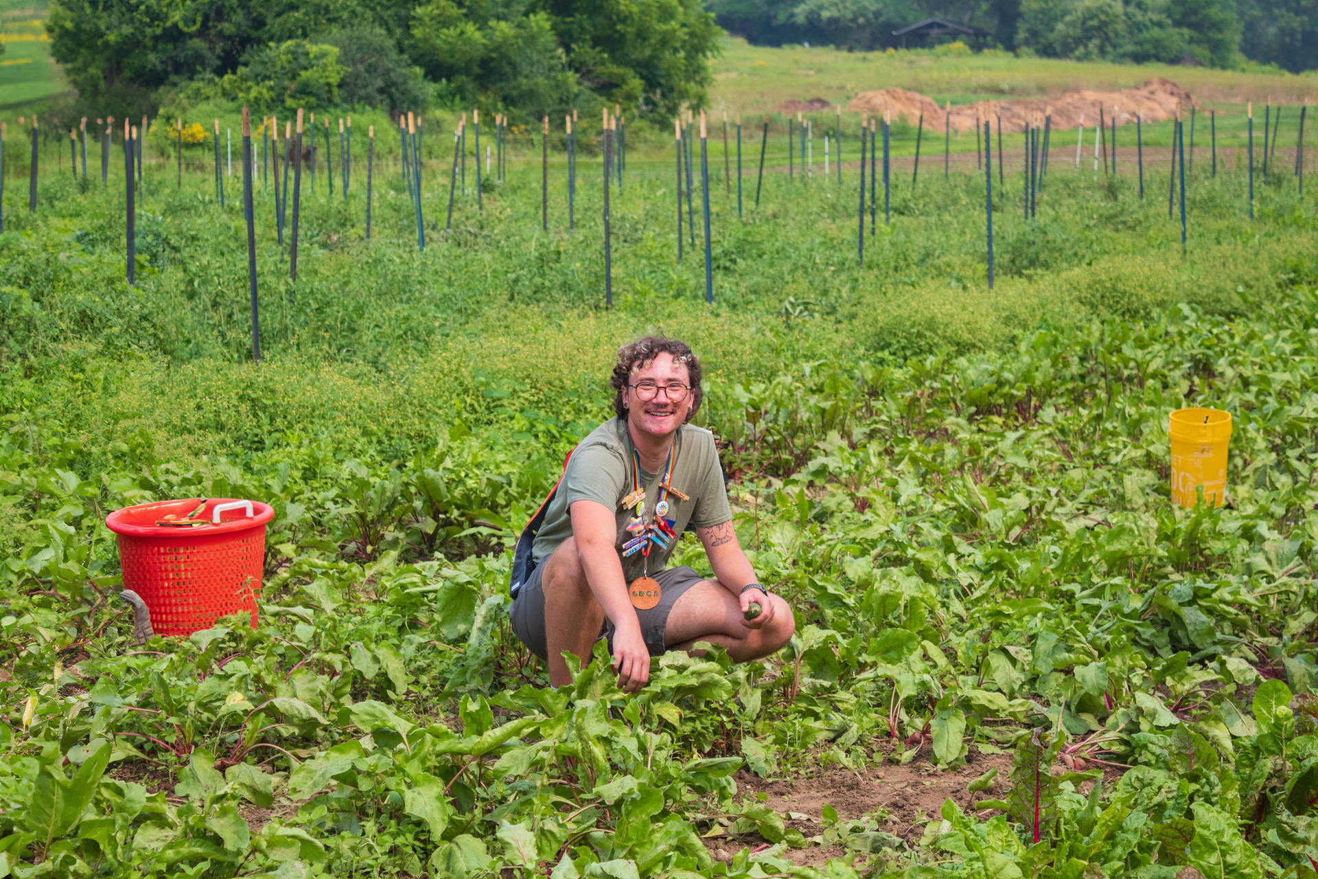 Camp counselor crouches in a green field, smiling at camera while harvesting greens.