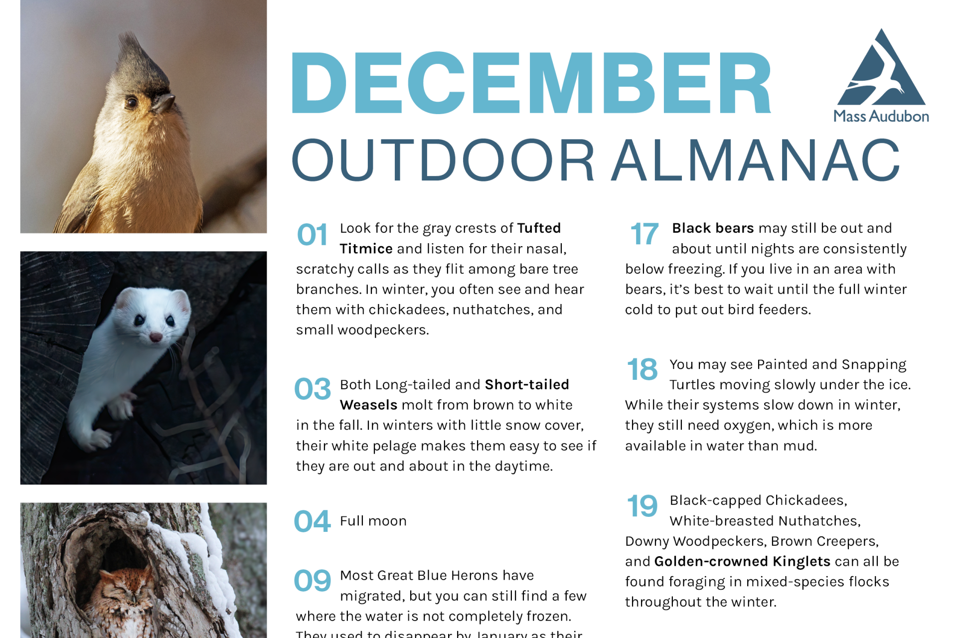 preview of December 2025 outdoor almanac