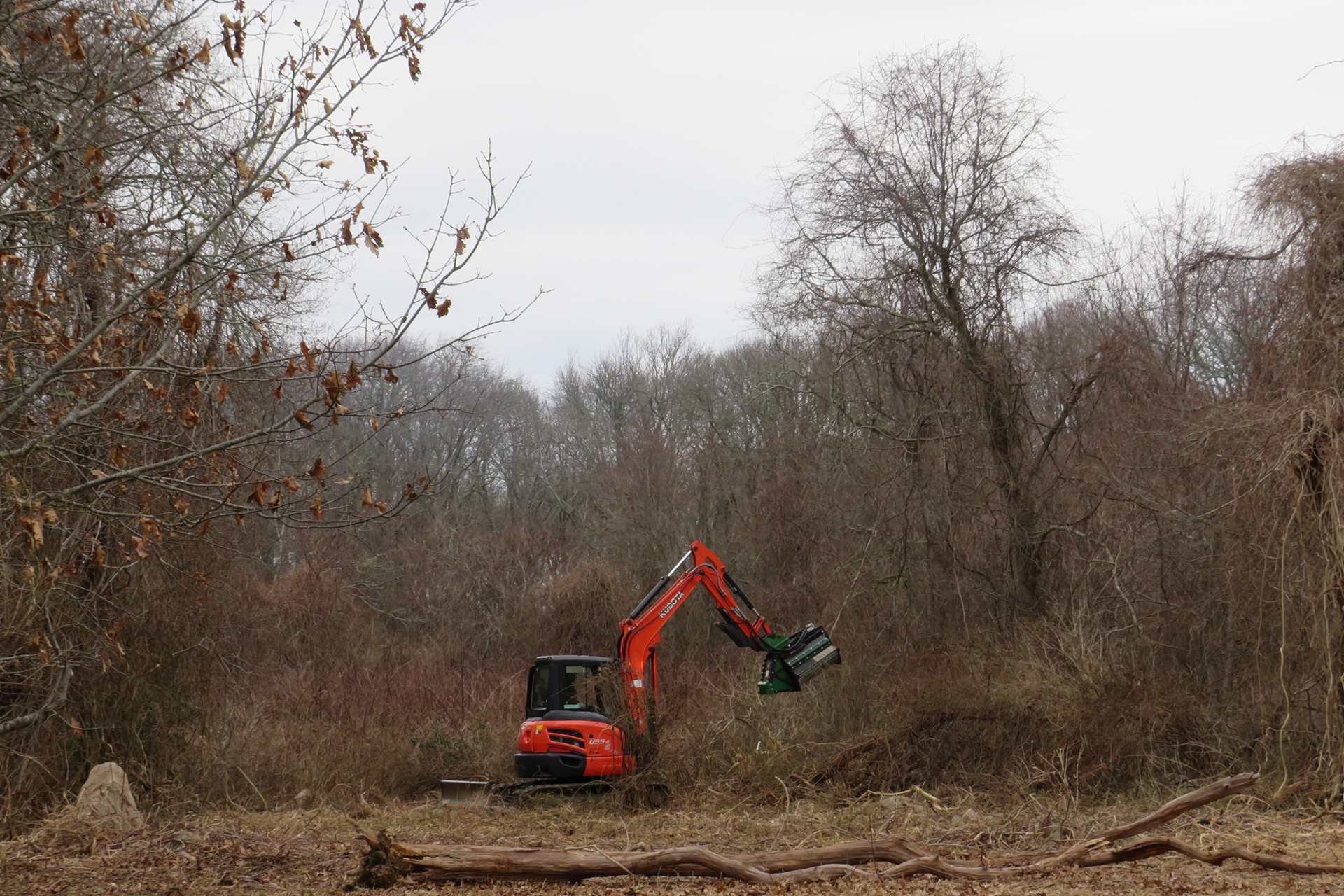 Excavator clearing brush at Allens Pond