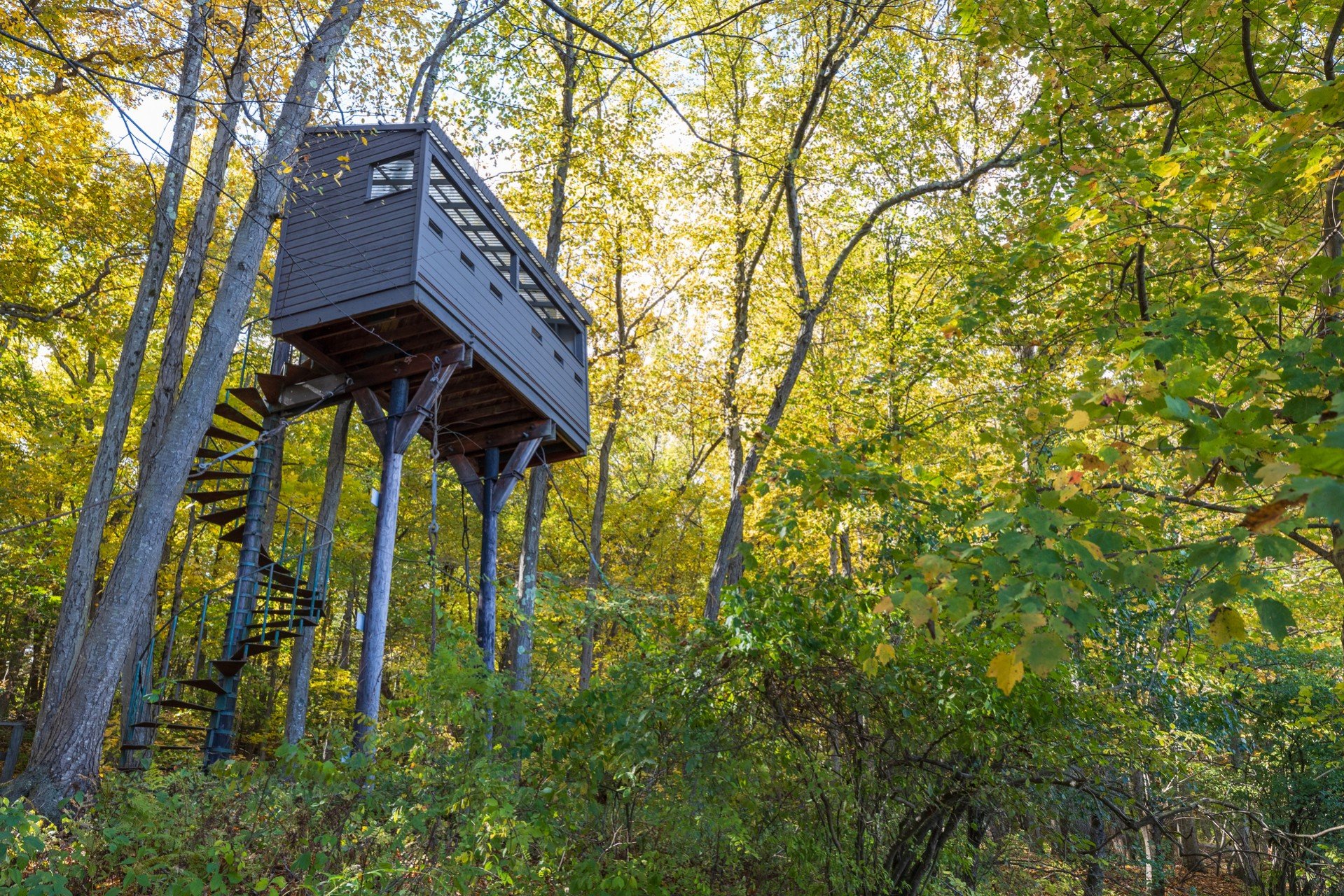 Observation Tower in woods