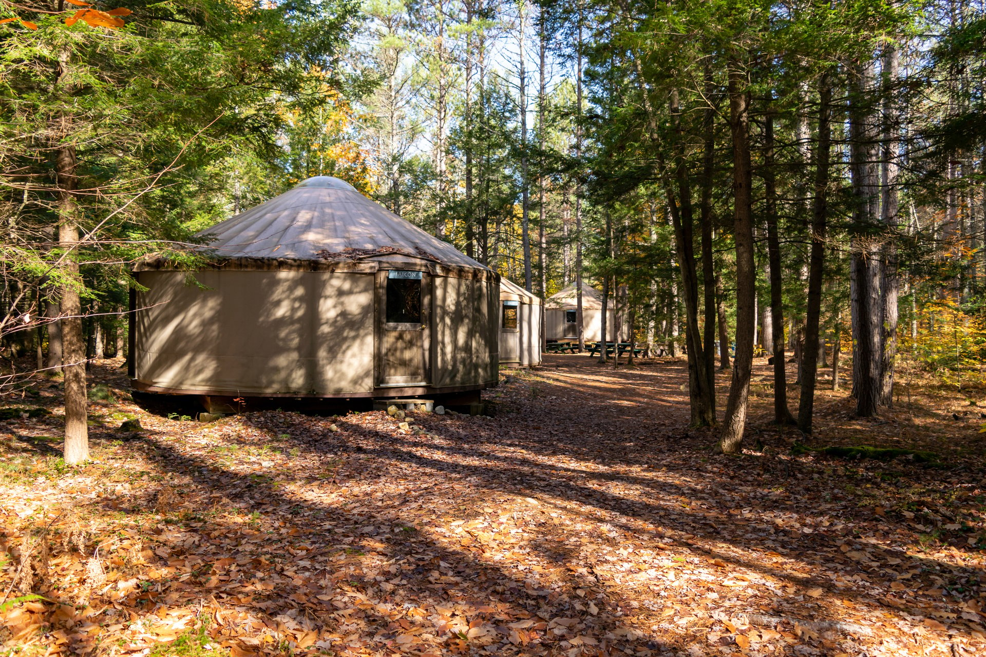 Exterior of Yurts in fall