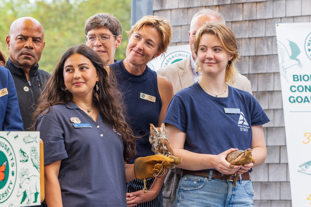 Mass Audubon Staff holding owl and turtle