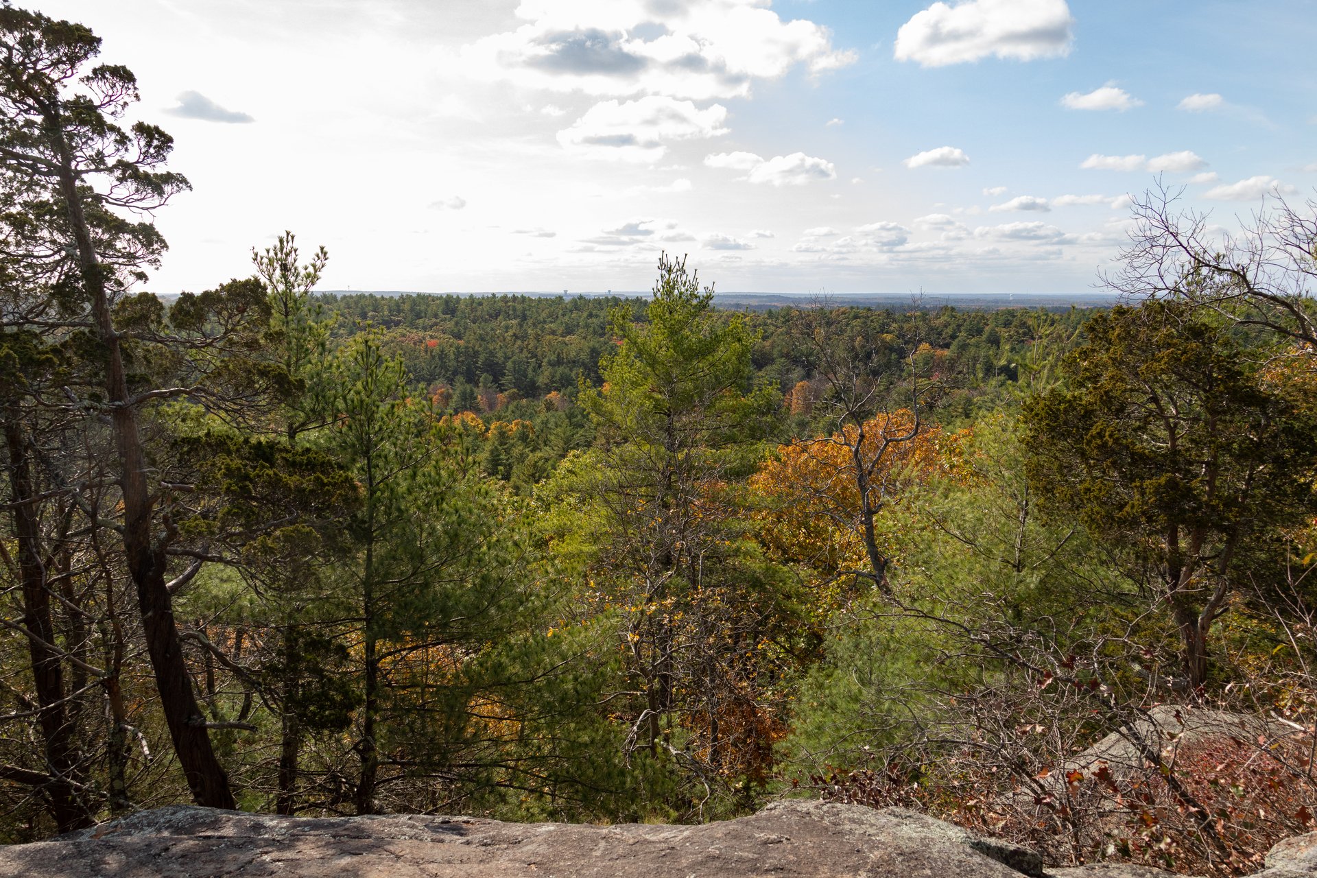 A rocky ledge overlooking a forest overview.