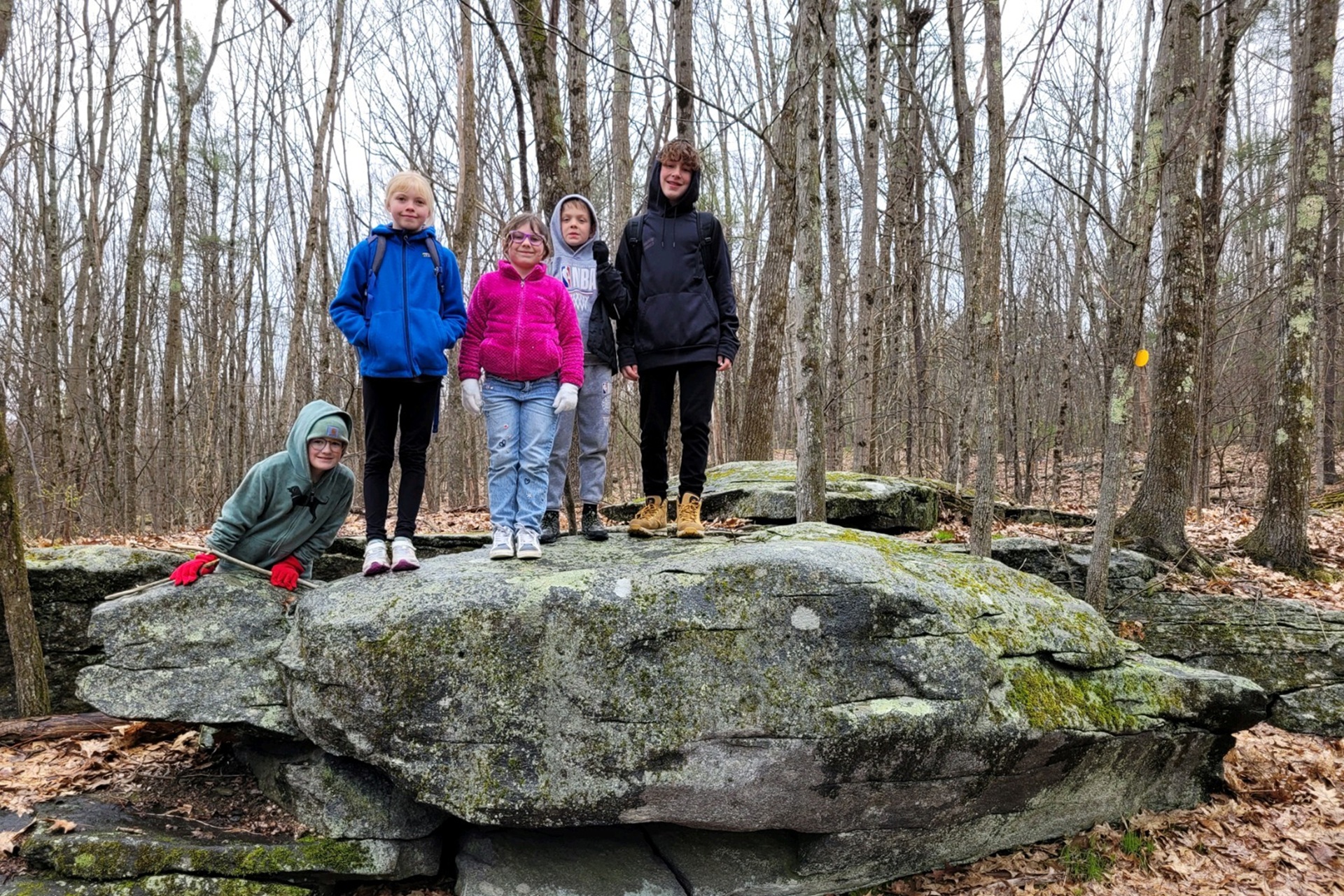 Five children on top of a long, horizontal rock
