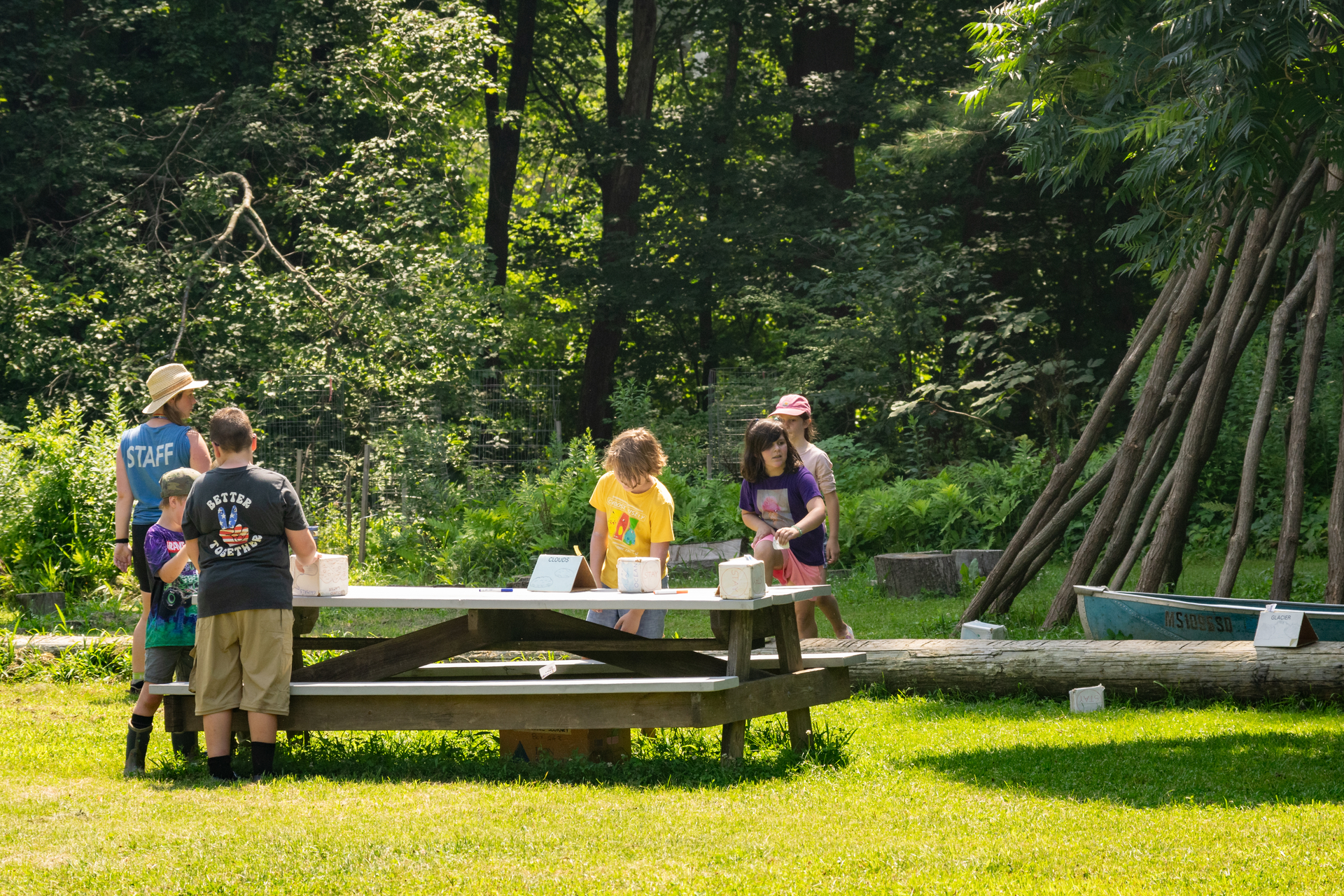 Kids playing in nature play area
