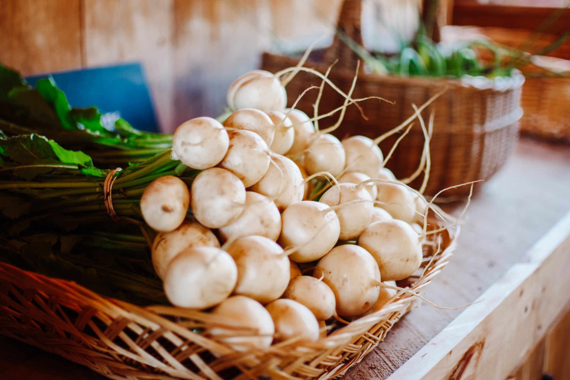 Bunches of large radishes in a basket