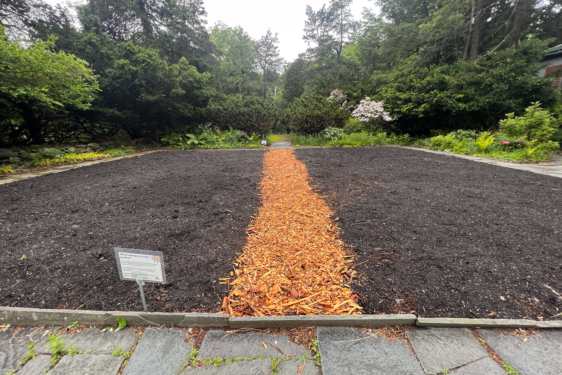 Habitat's garden with fresh planting space and a mulched path in the center