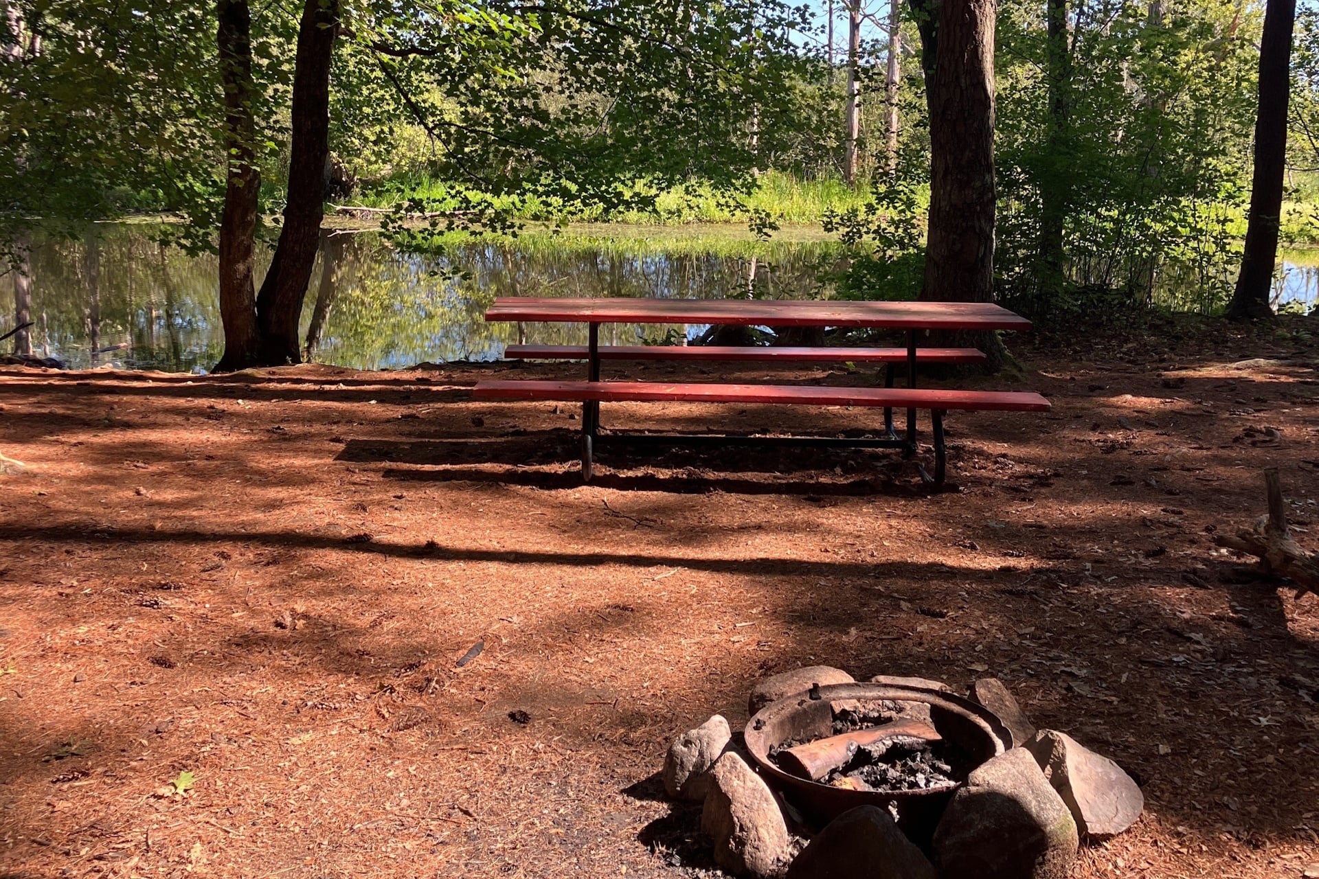Fire pit and picnic table in a clearing at Perkins Island, along the waterfront