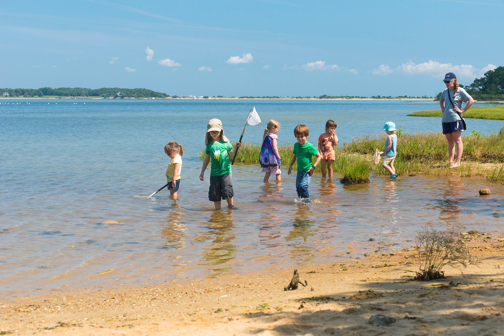 Young children wading in shallow water with nets