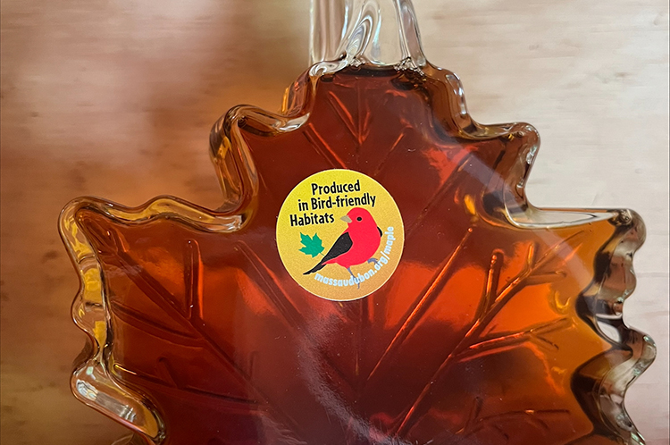 maple shaped bottle with syrup and a yellow sticker with red bird that says produced in bird-friendly habitats