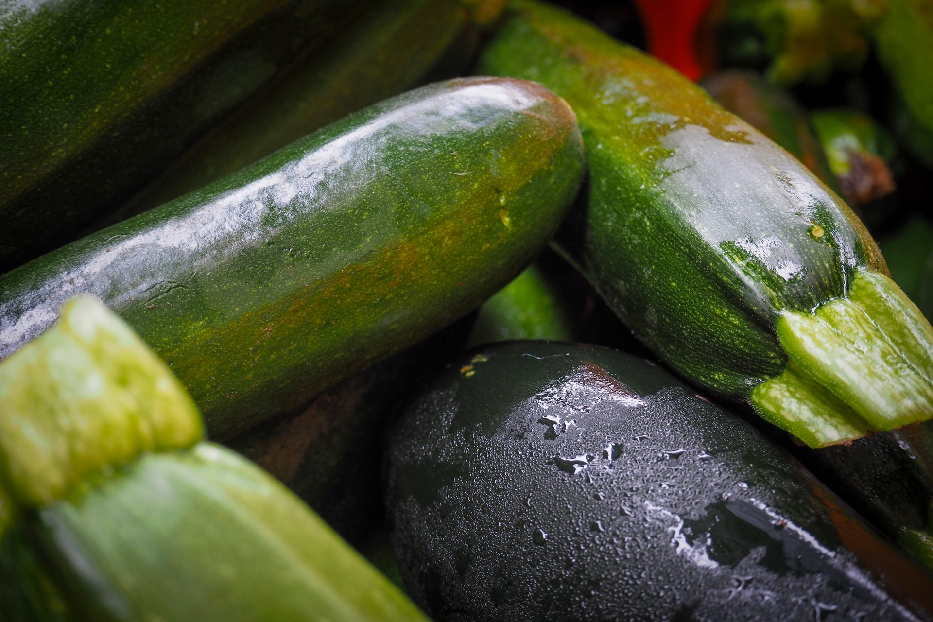 Closeup of freshly washed zucchinis