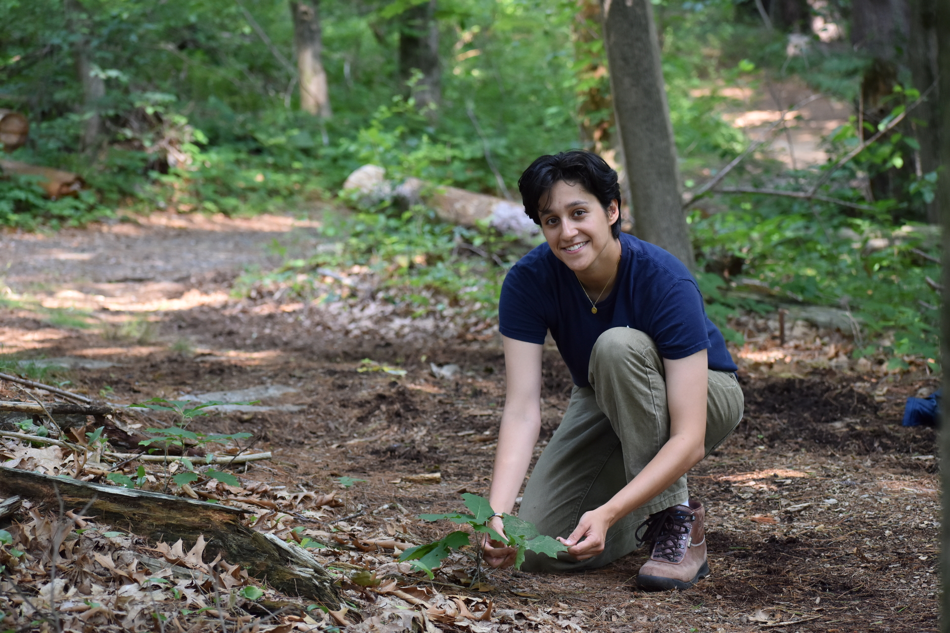 A person in a blue shirt and khakis bent on their knees on a path in the woods, their hands touch leaves on the ground.