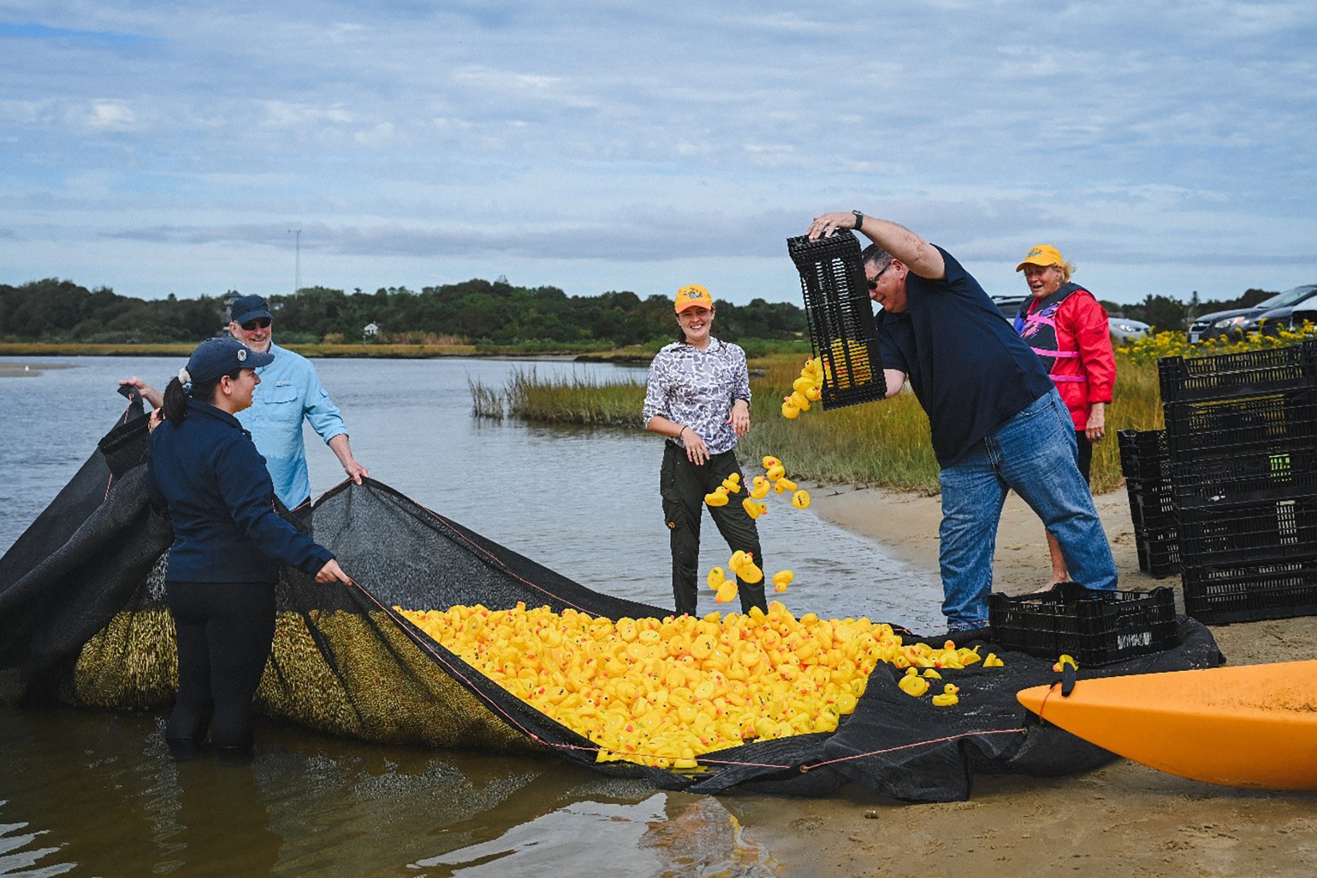 Duck Derby crew loading rubber ducks into a large black net