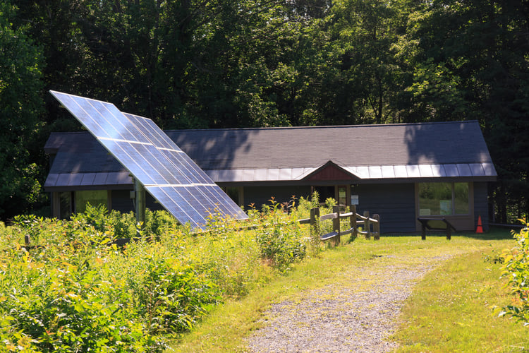 Solar panel in green vegetation with a brown building in the background.