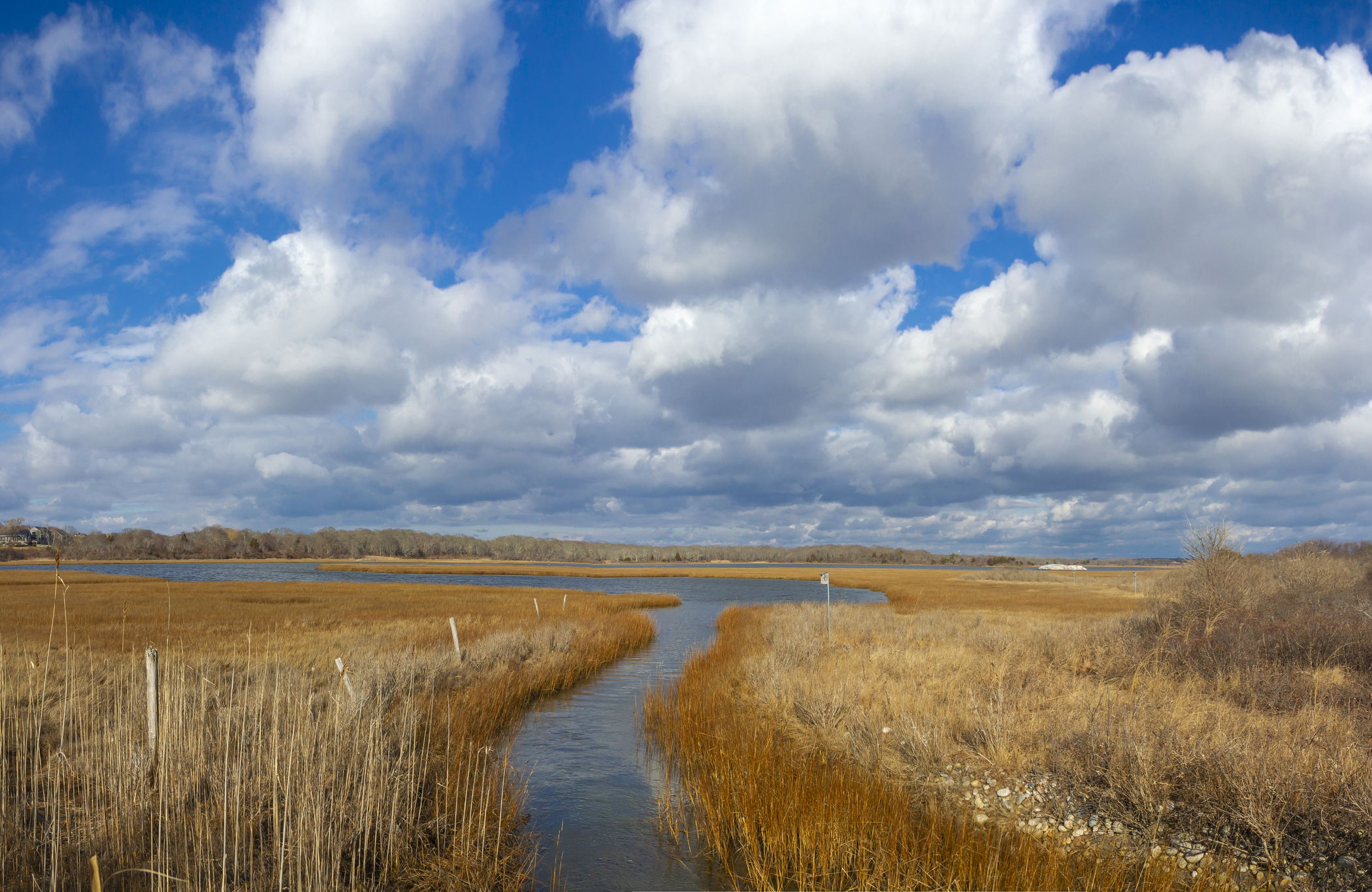 Allens Pond salt marsh with a water channel