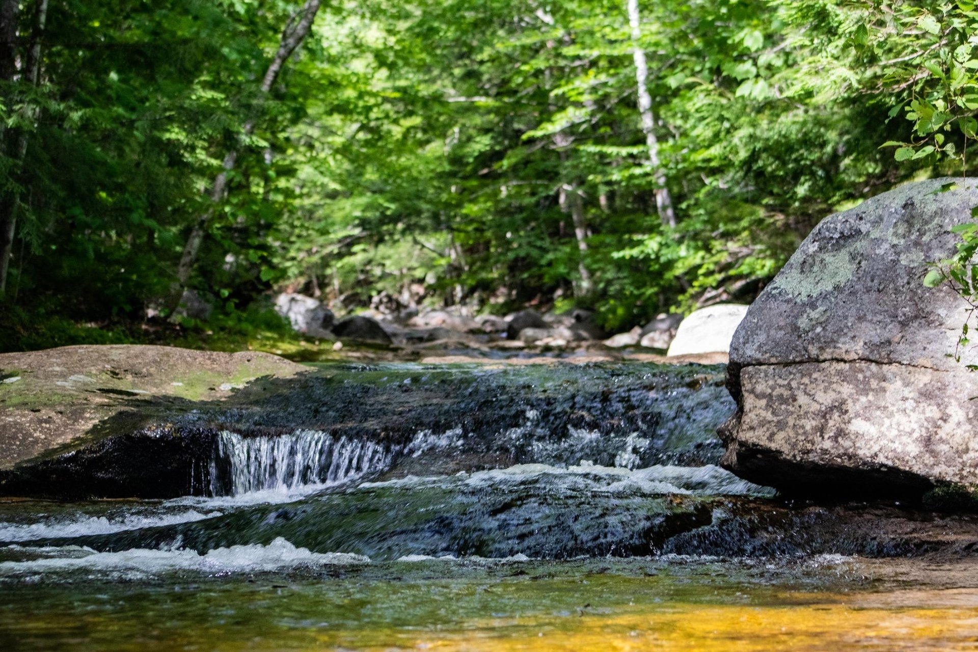 A small waterfall running over a rock with green trees in the background.