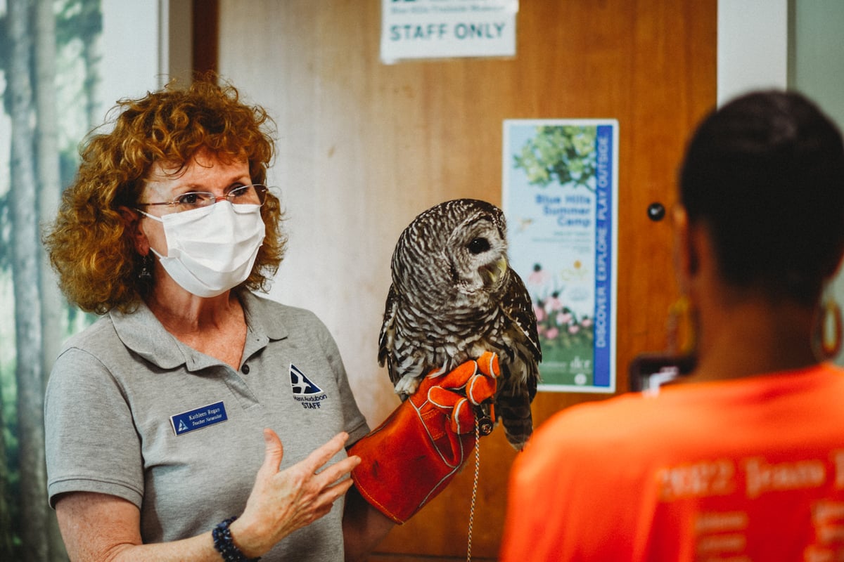Woman with a gray Mass Audubon shirt and orange glove holding a white and black owl.