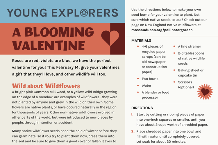 A screenshot of the "Young Explorers" activity page, A Blooming Valentine