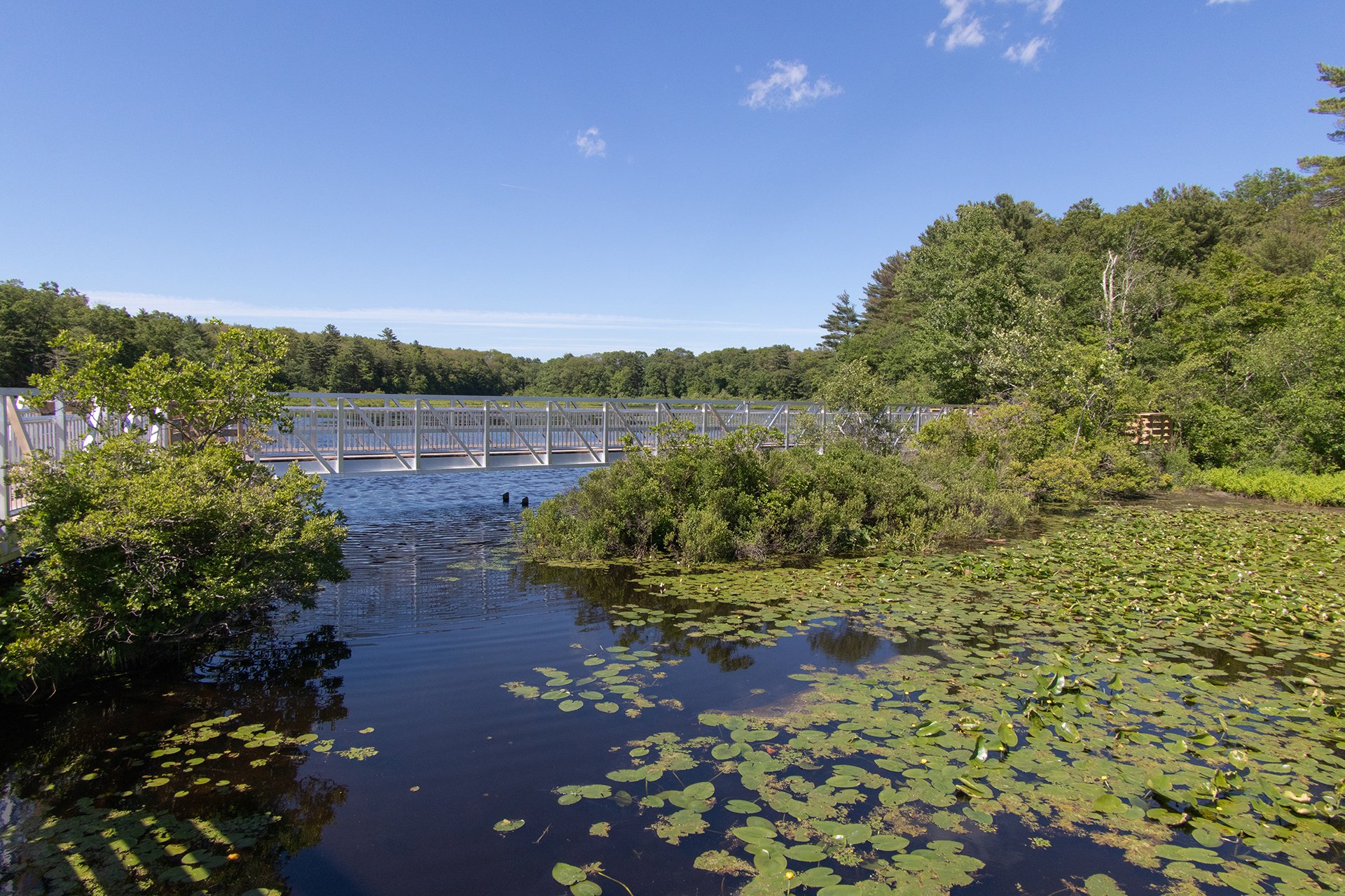boardwalk crossing over water at Stony Brook