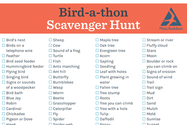 Graphic of Scavenger Hunt