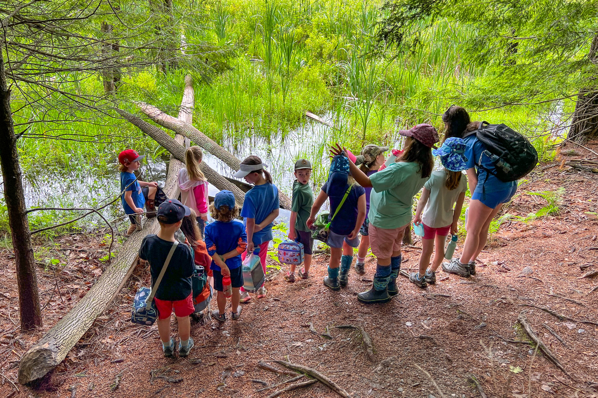 A group of campers carrying lunchboxes and water bottles pause on a hike to learn about beaver meadows and wetlands with their counselors