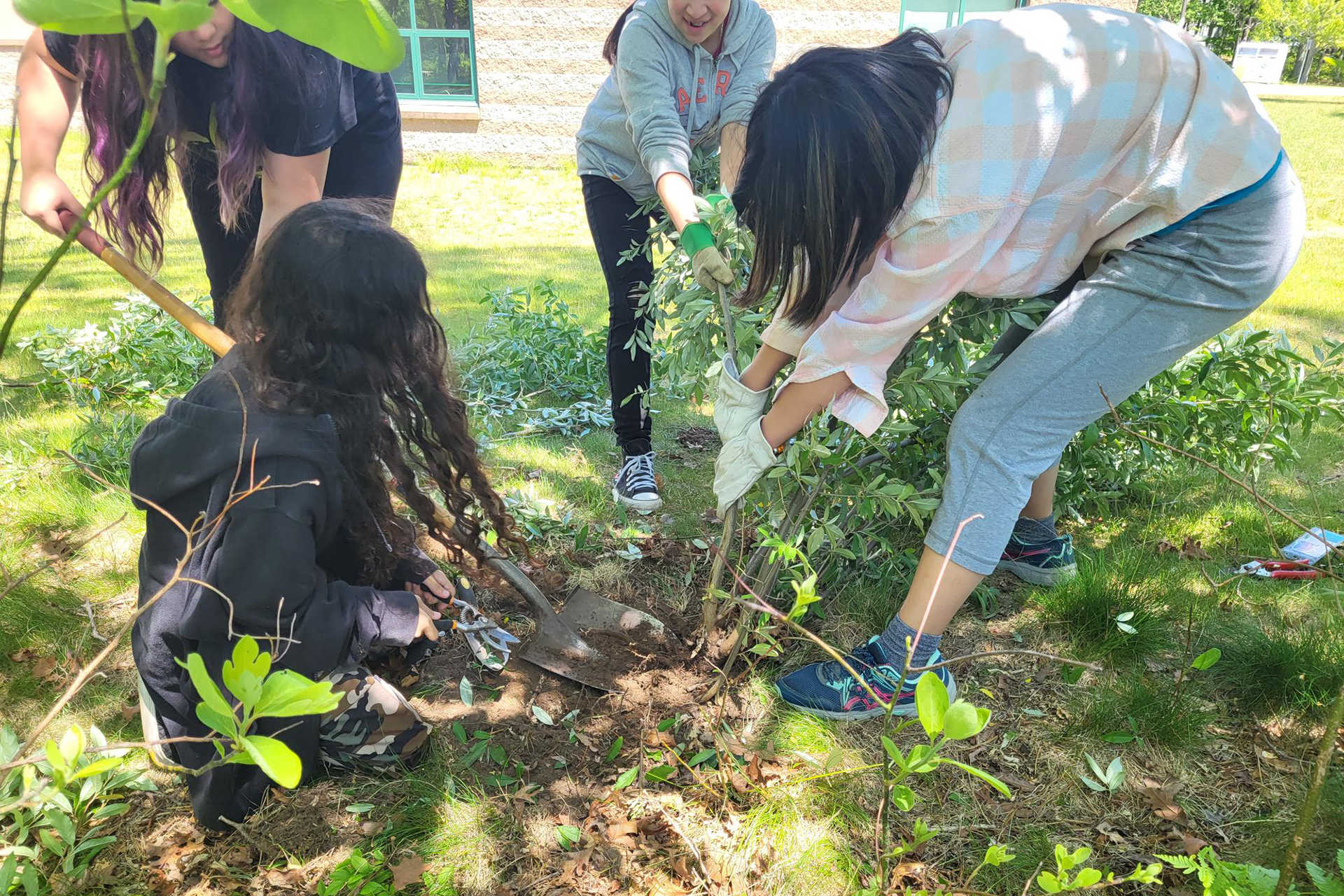 Students uprooting non-native invasive plants